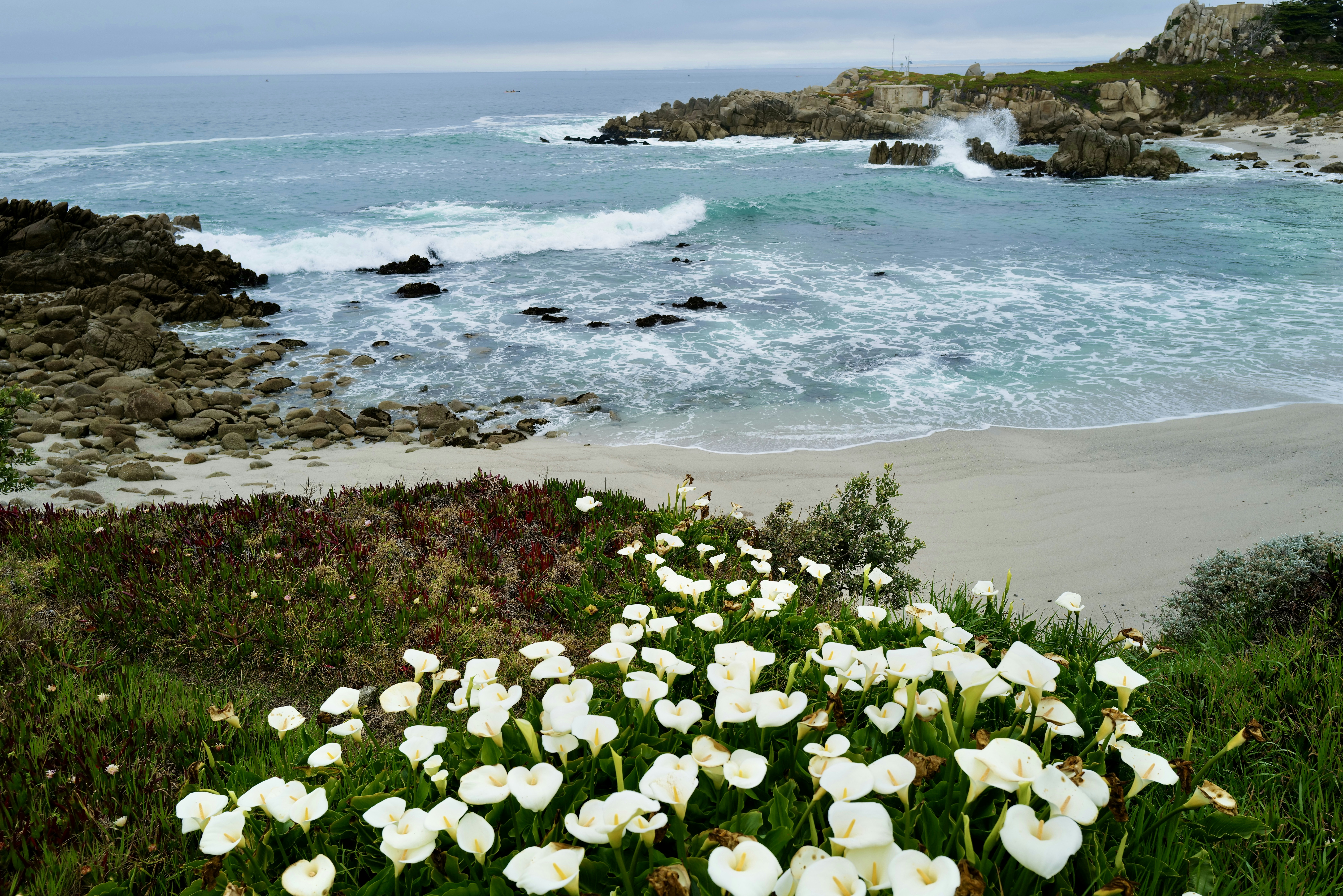 Photo by mostlycogent