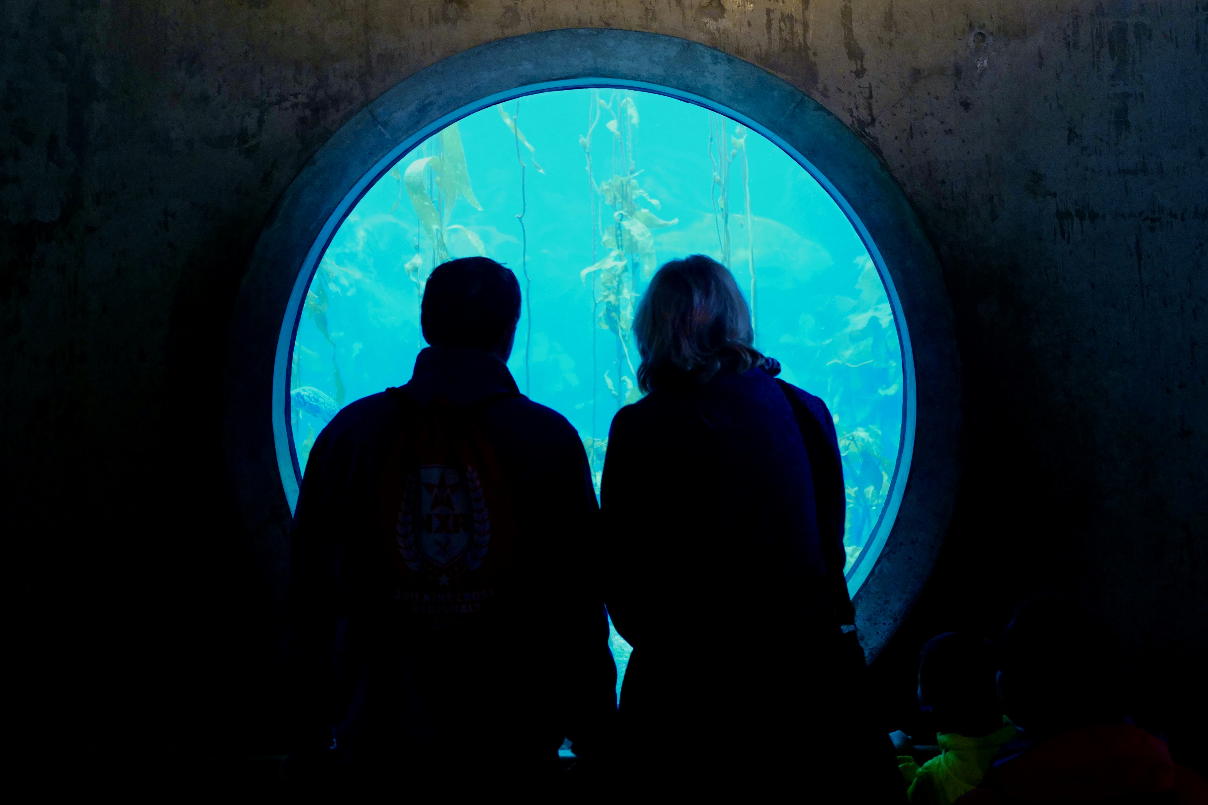 Photo by mostlycogent