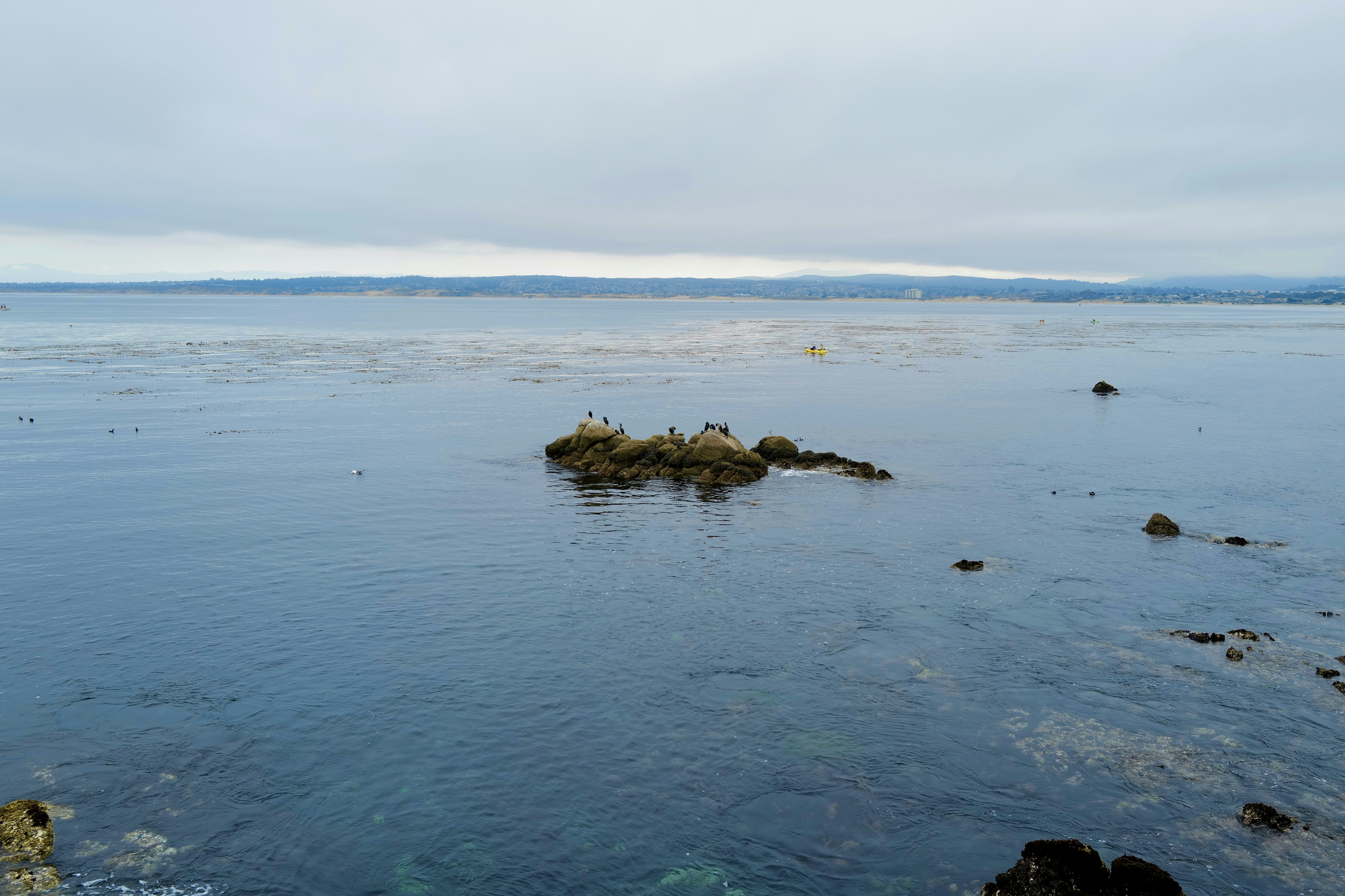 Photo by mostlycogent