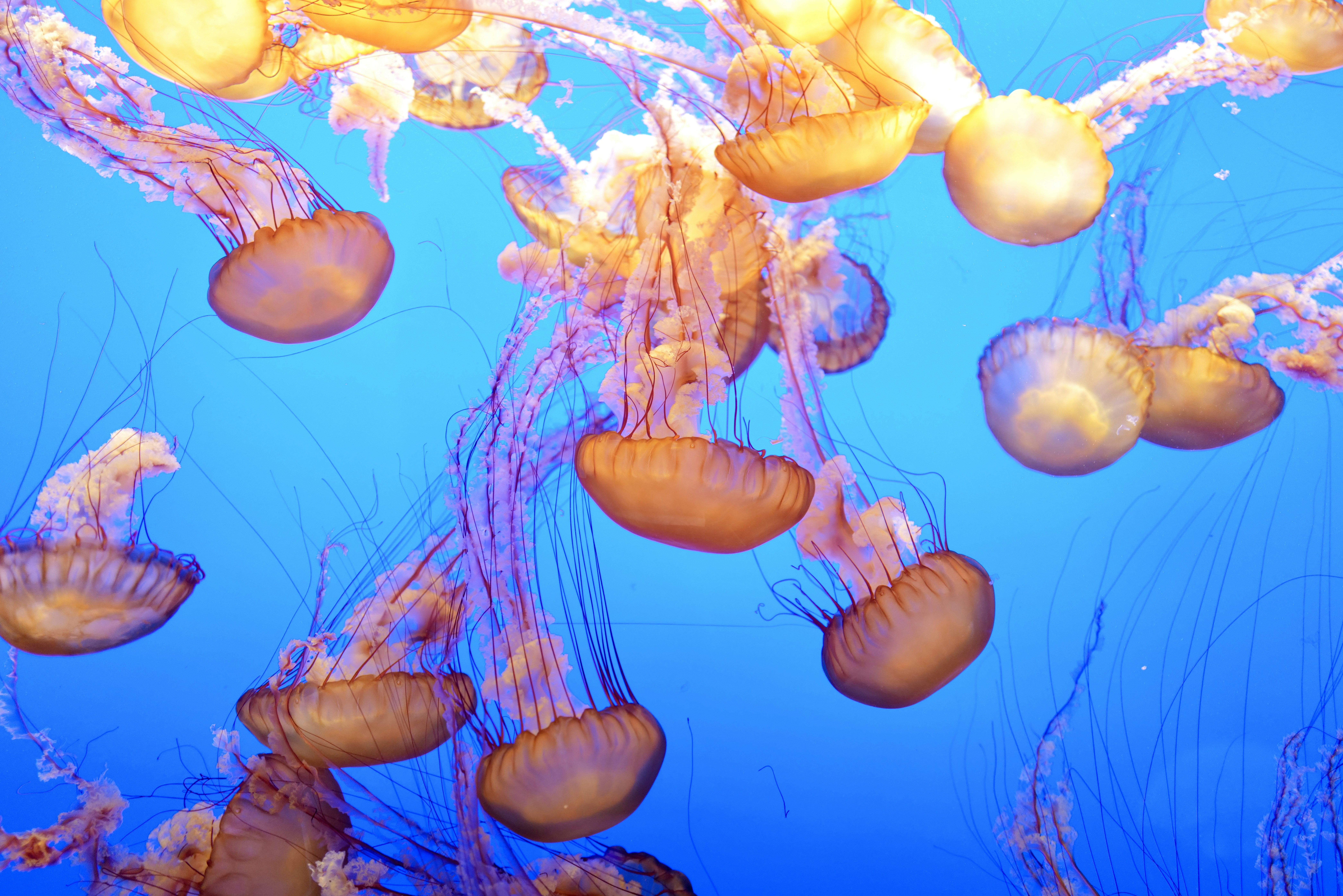 Photo by mostlycogent