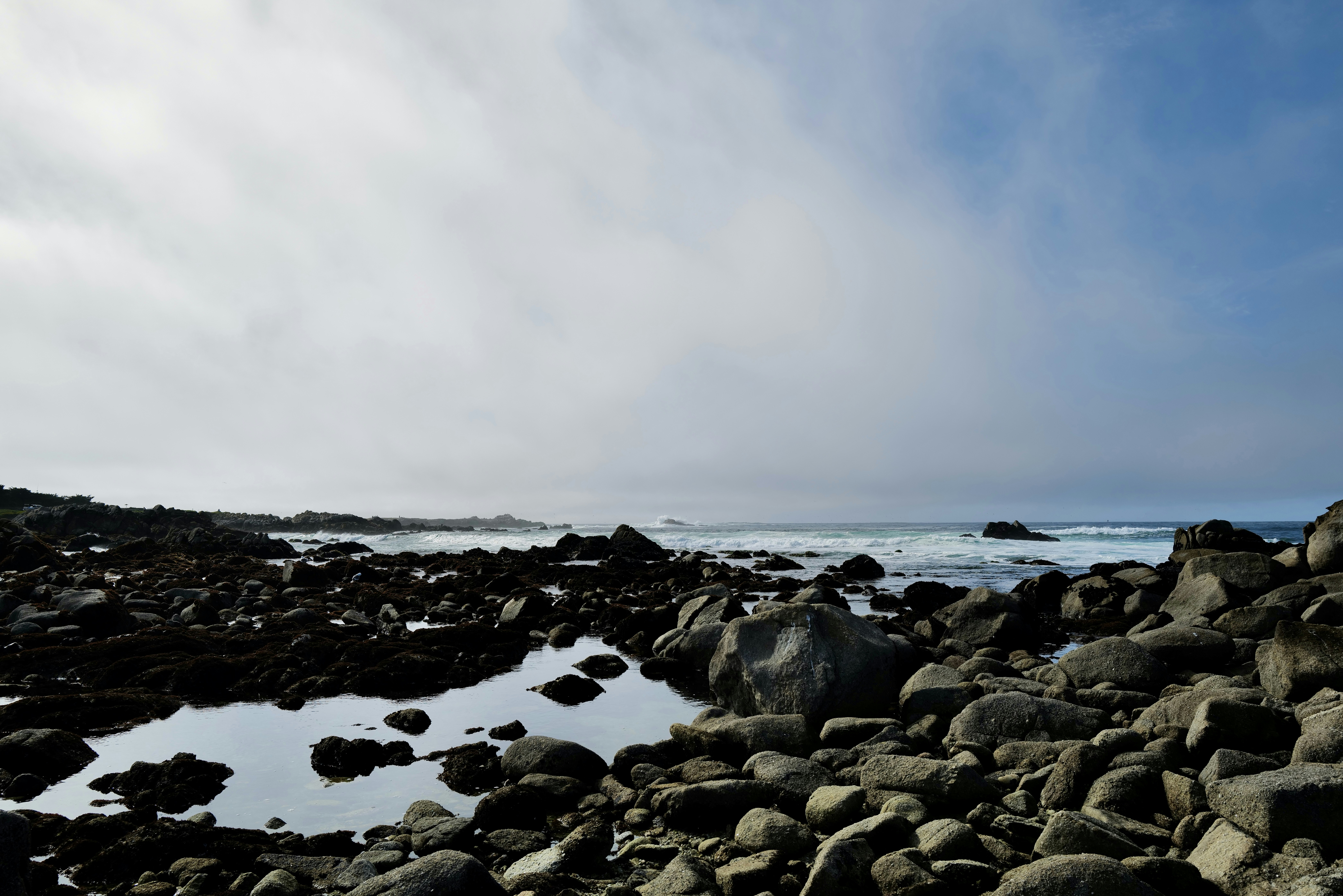 Photo by mostlycogent