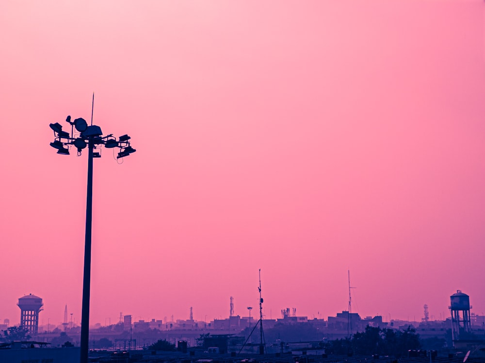 a pink sky over a city with a bird on top of a lamp post