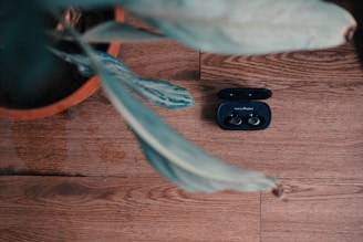 A set of wireless earbuds in an open case is placed on a wooden floor next to a potted plant with large green leaves extending over the scene.