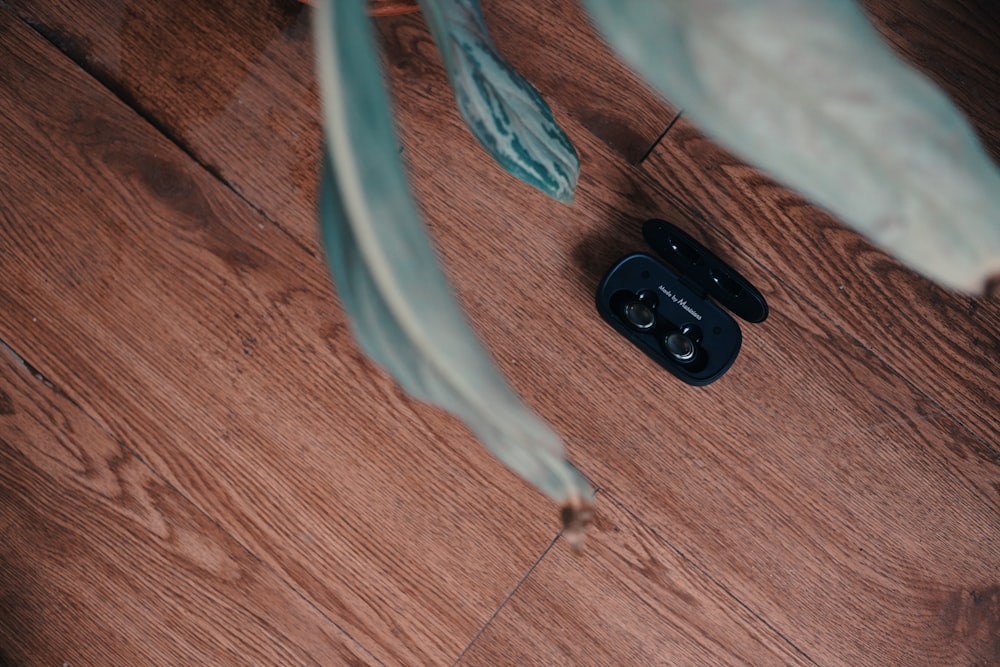 a pair of scissors and a feather on a wooden floor