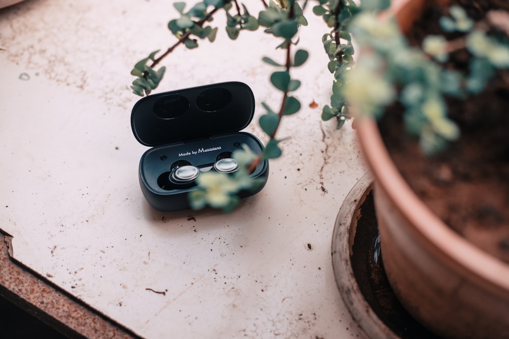 a pair of ear buds sitting next to a potted plant