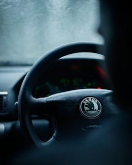 A close-up of a Skoda car steering wheel inside a vehicle with a slightly blurred background. The interior appears dimly lit, with a frosted or foggy effect on the windscreen creating a cool, muted atmosphere.