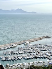 A scenic view of a marina with yachts and well-maintained docks.