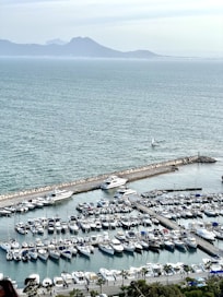 A scenic view of a marina with yachts and well-maintained docks.