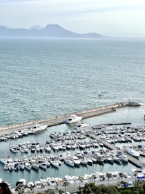 A scenic view of a marina with yachts and well-maintained docks.