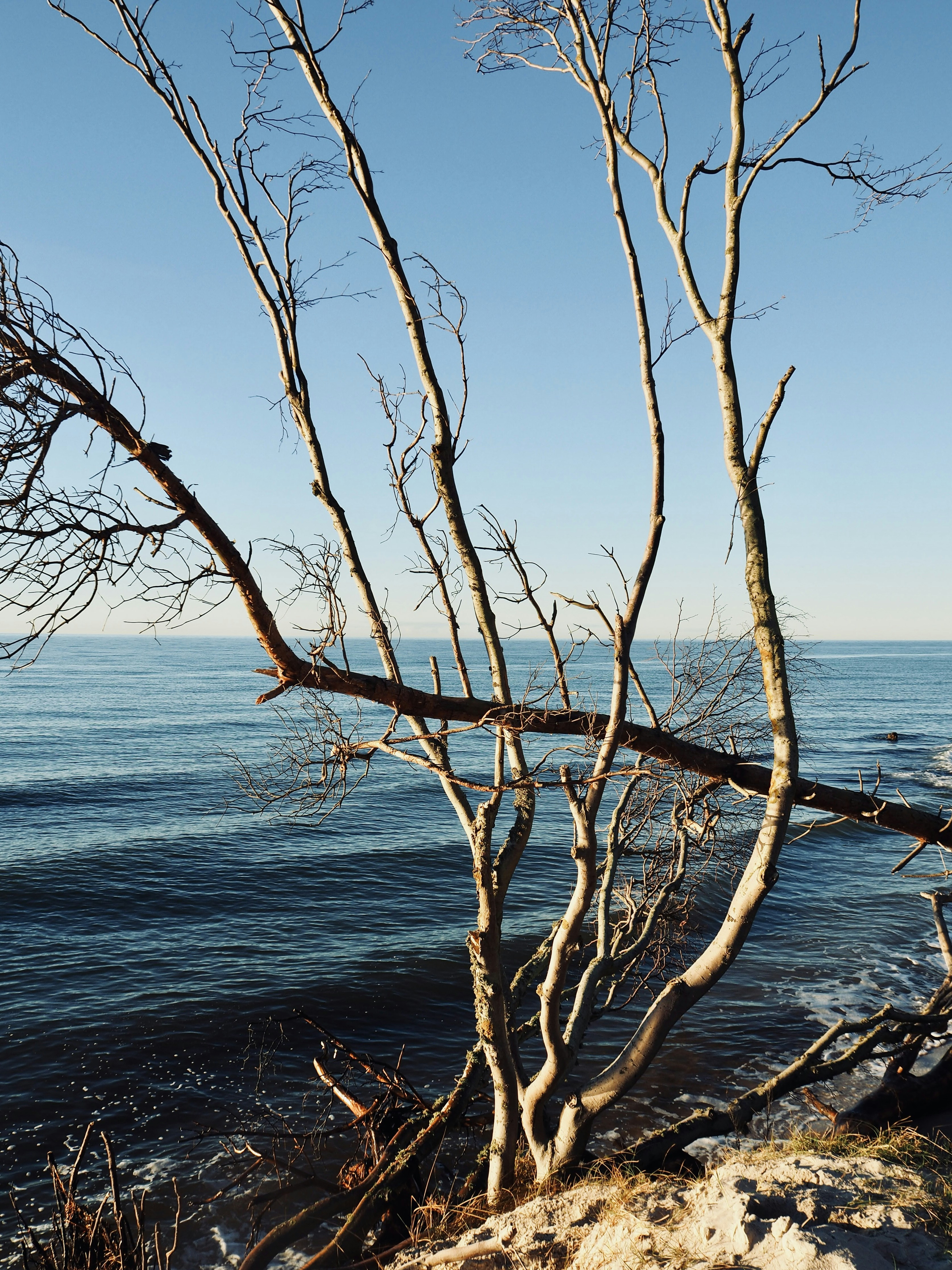 Photo by caroline_2603