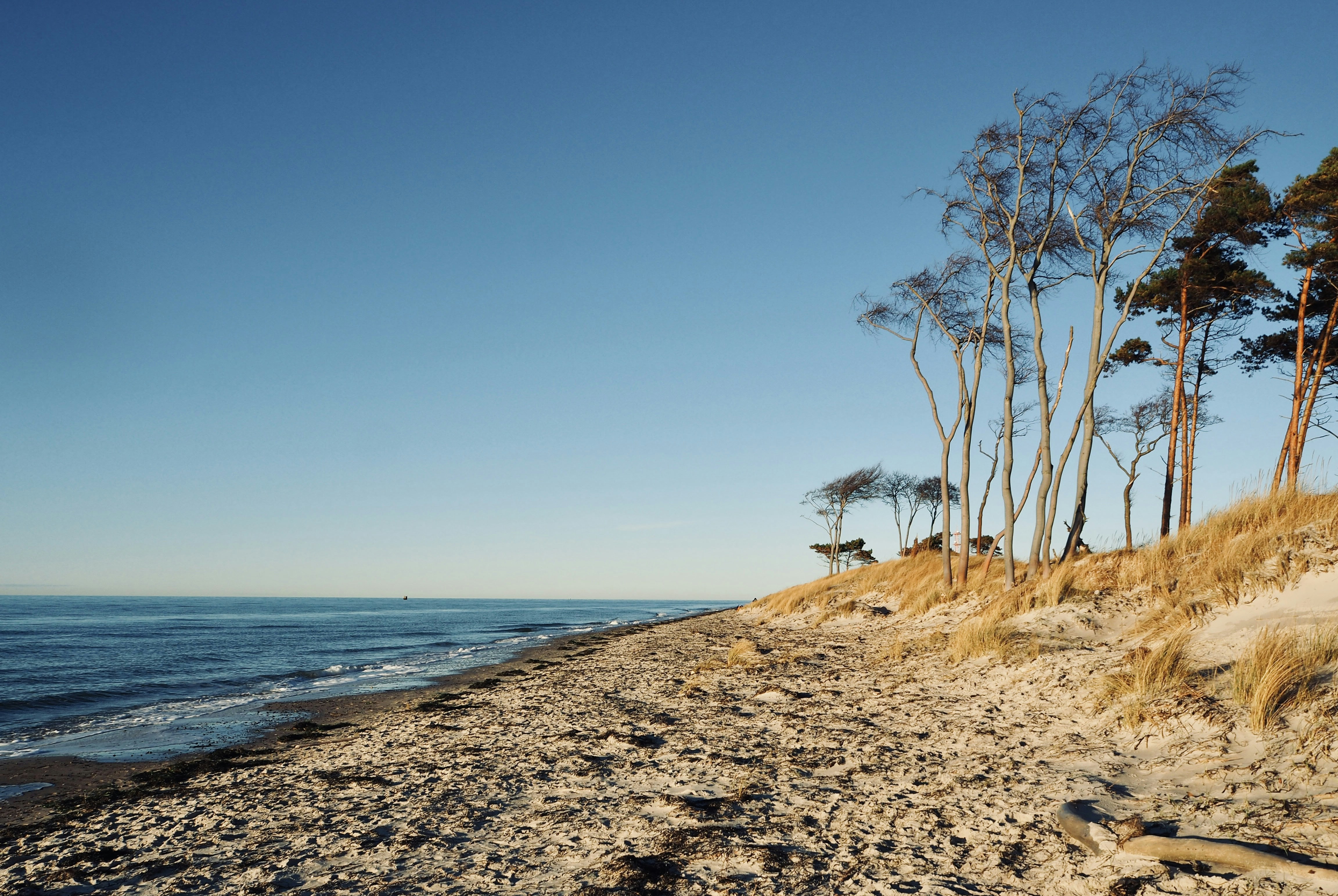 Photo by caroline_2603