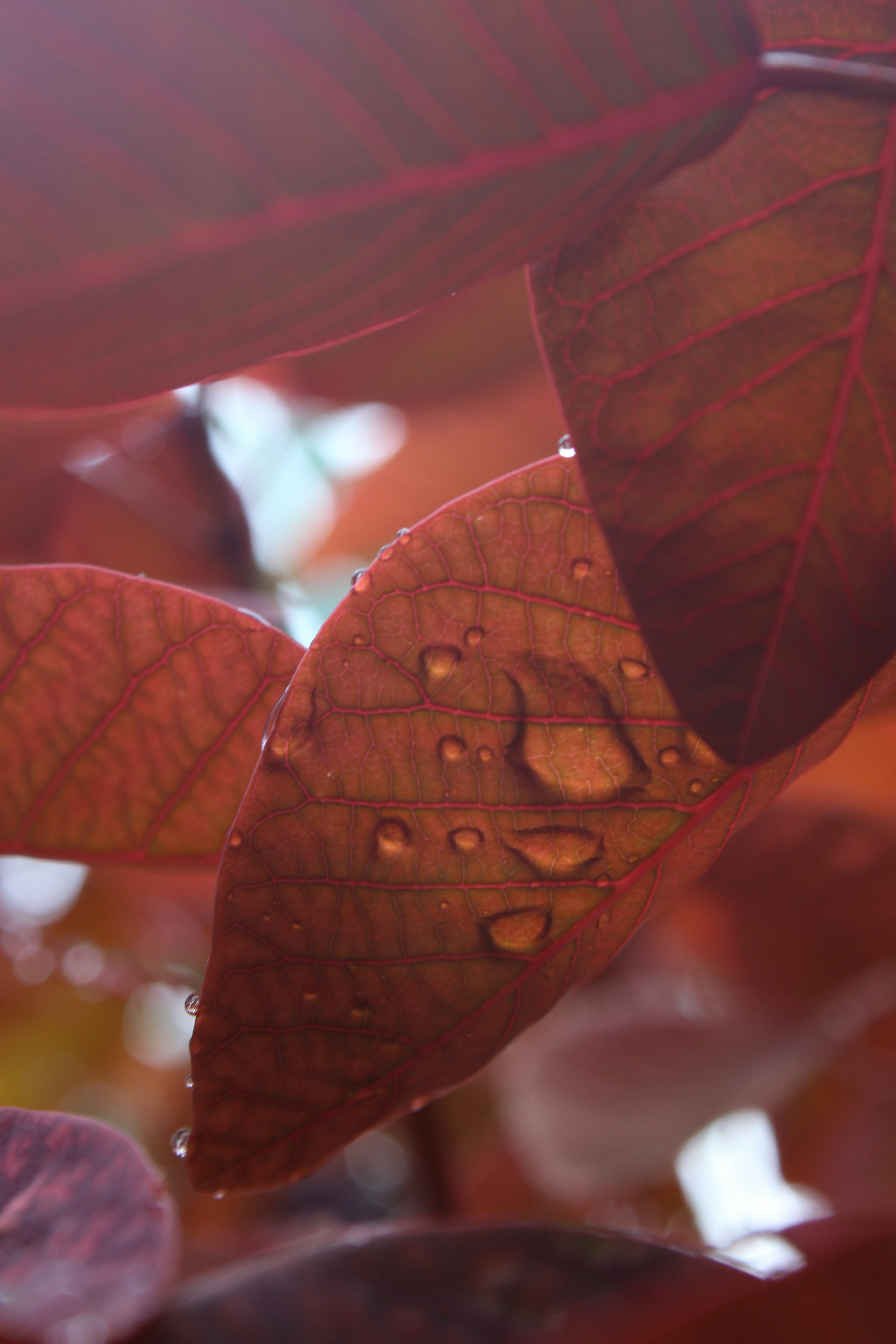 Photo by myhashtagstories