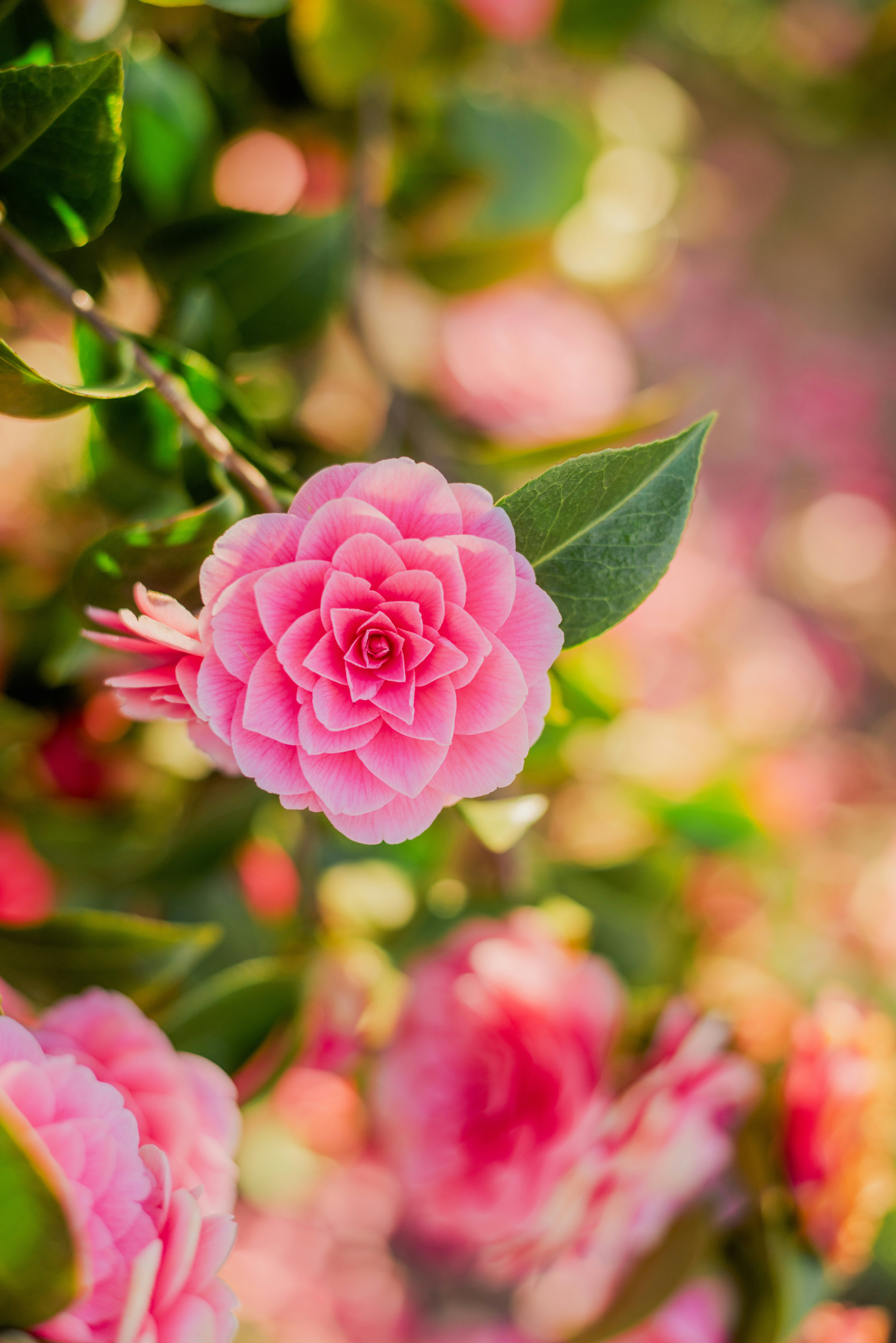 Photo by eugenivy_now