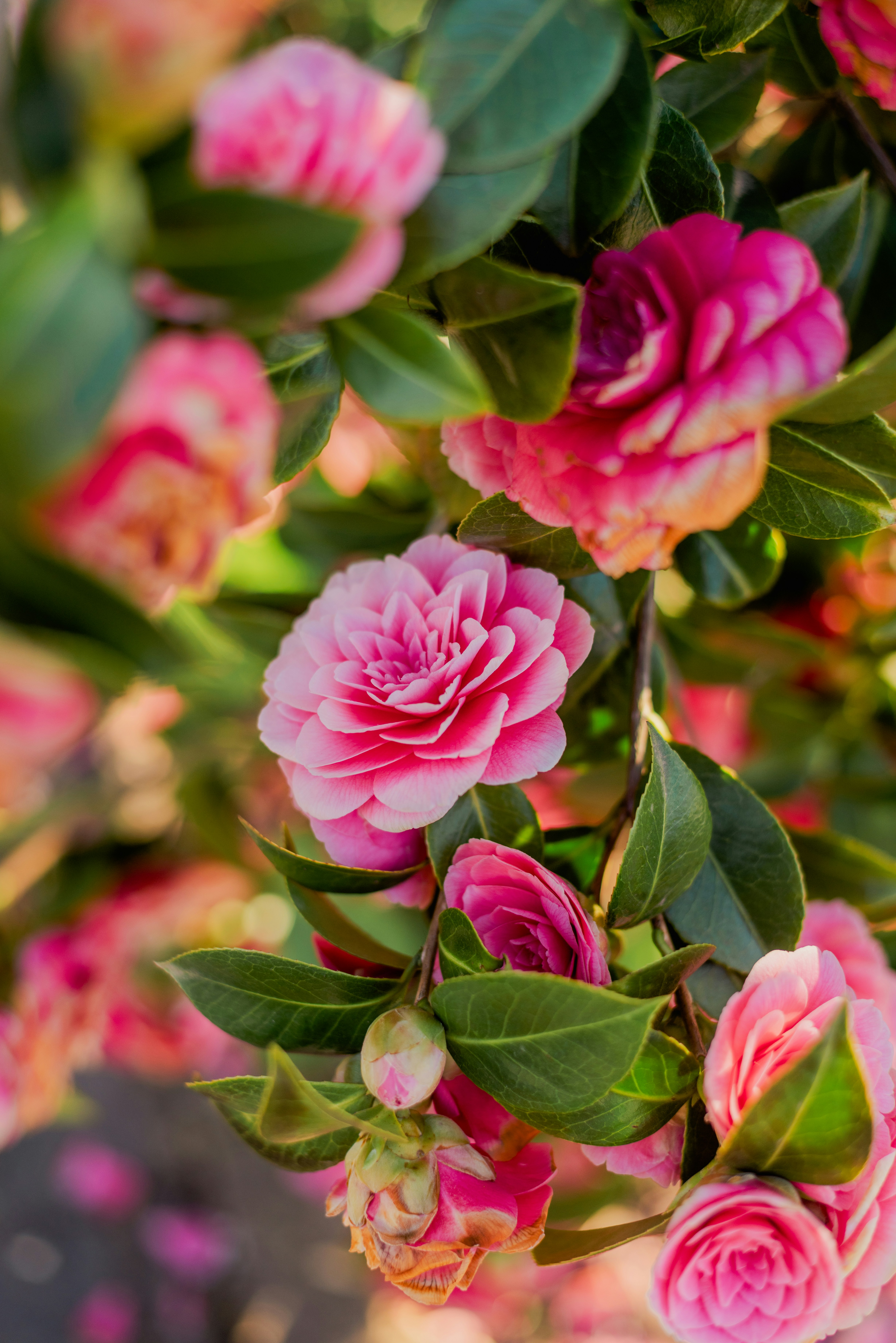 Photo by eugenivy_now