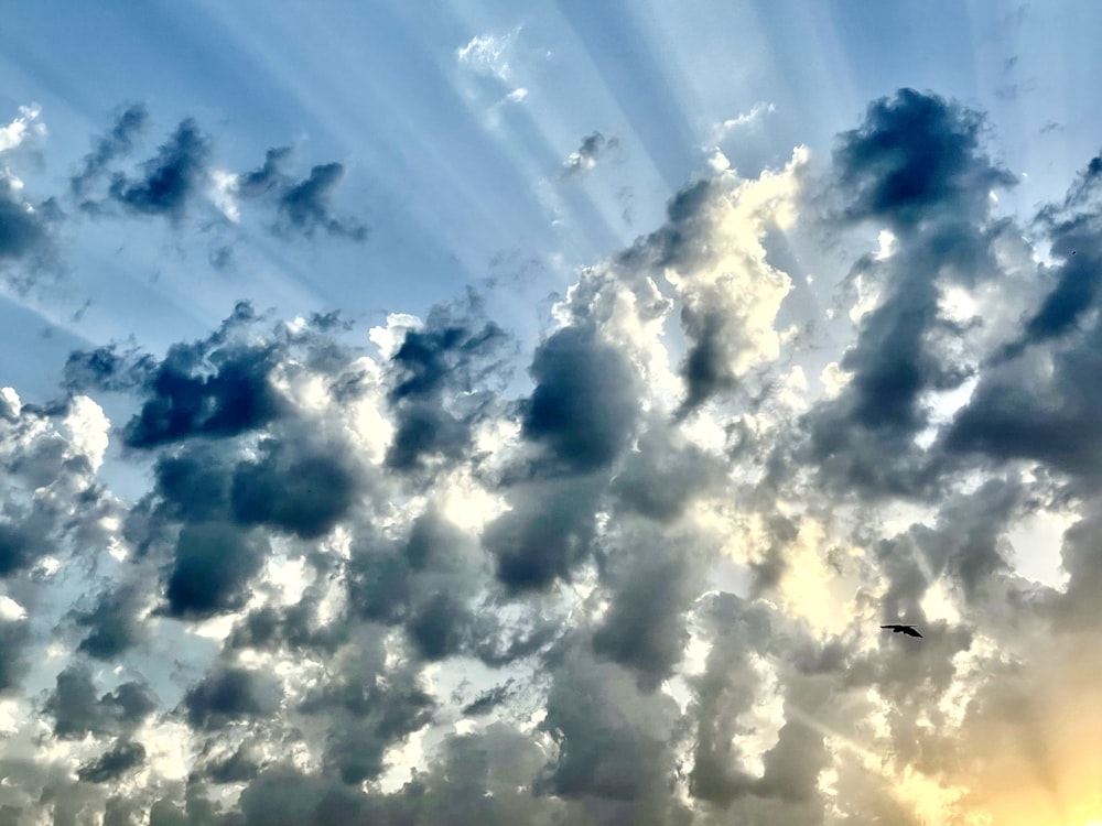 a bird flying through a cloudy sky with sunbeams