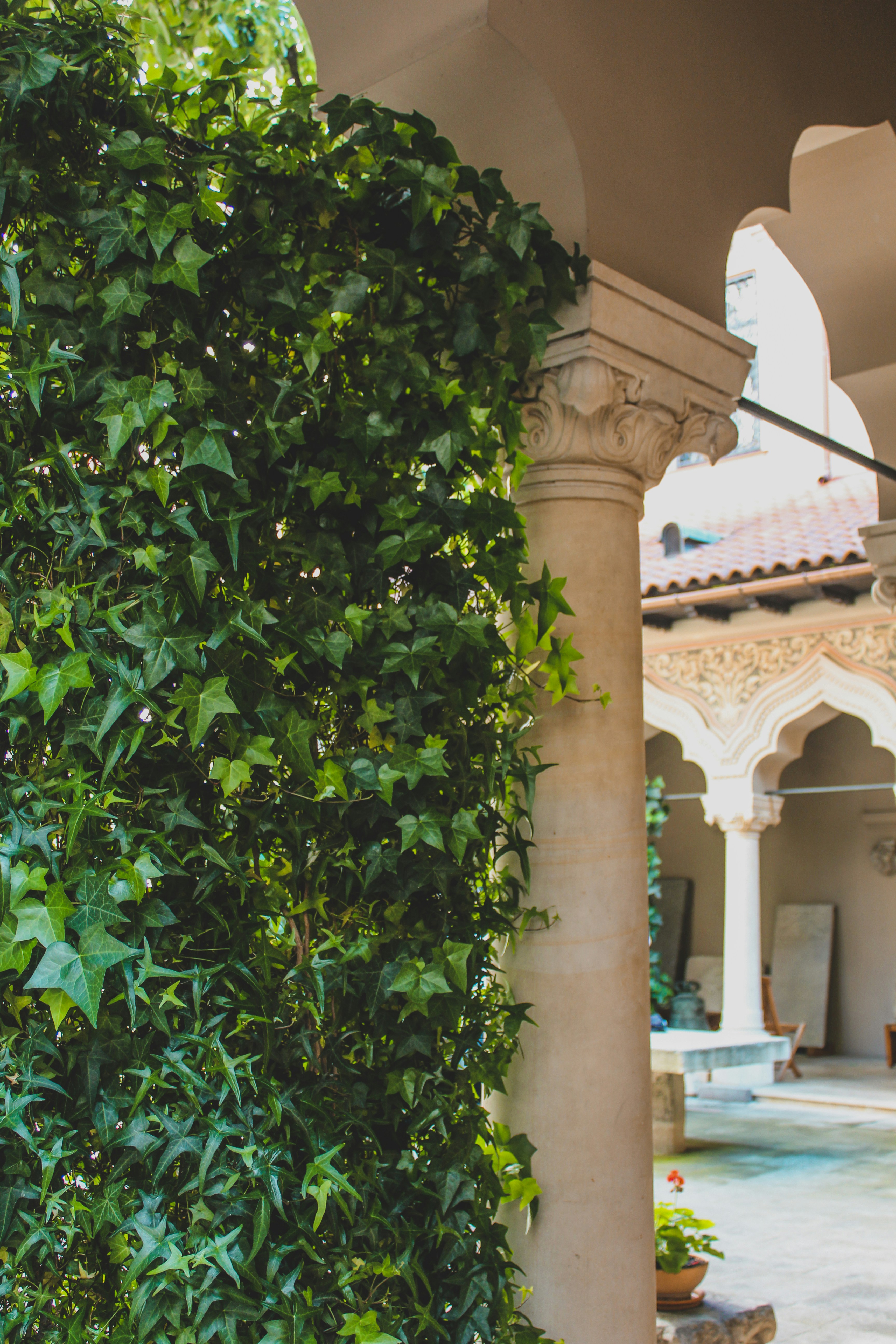 Photo by czapp_arpad