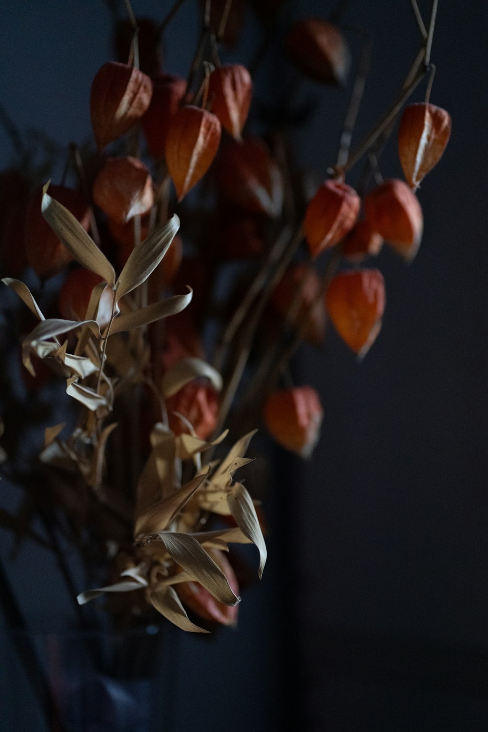 a bunch of dried flowers in a vase