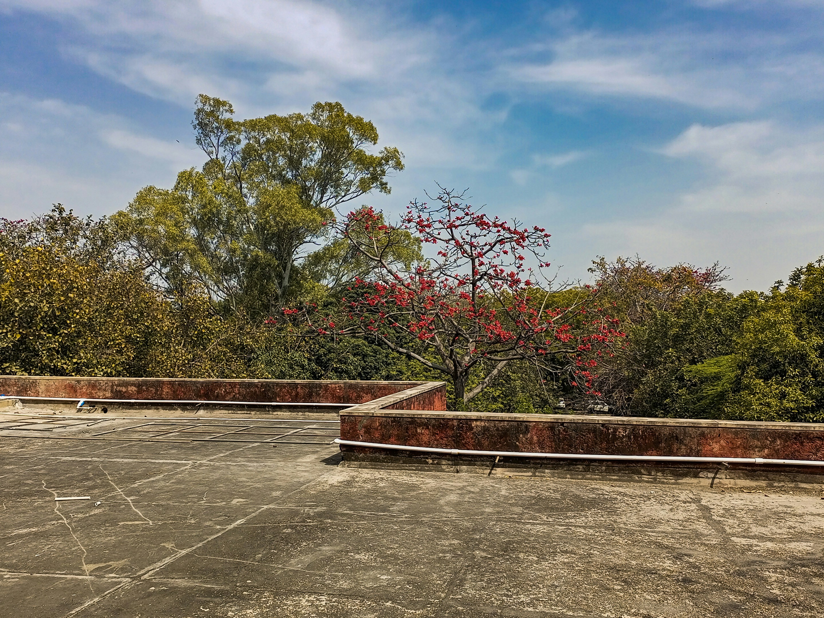 an empty parking lot with a tree in the background