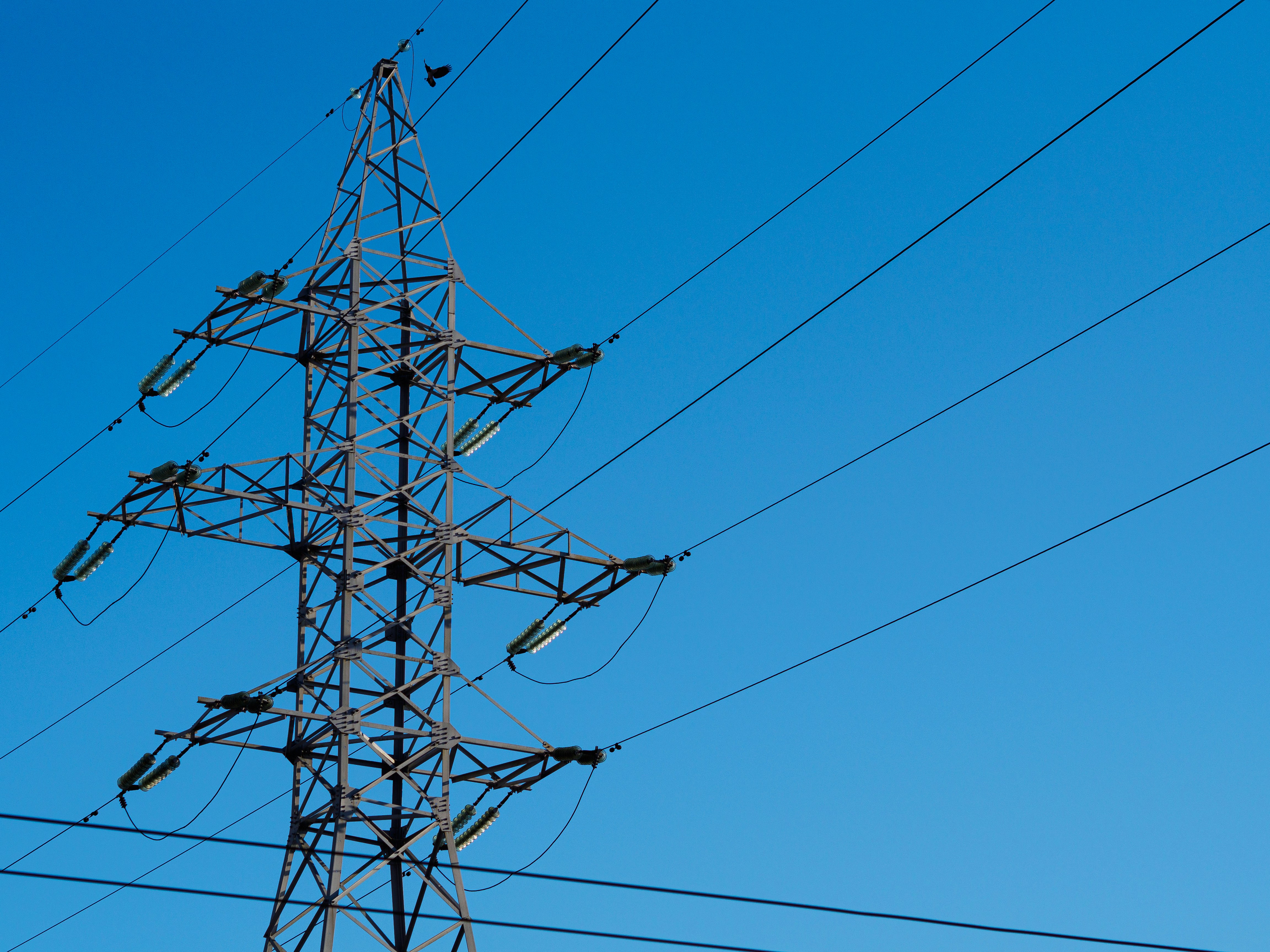 Photo by digital_helium