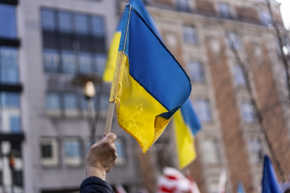 a person holding a flag