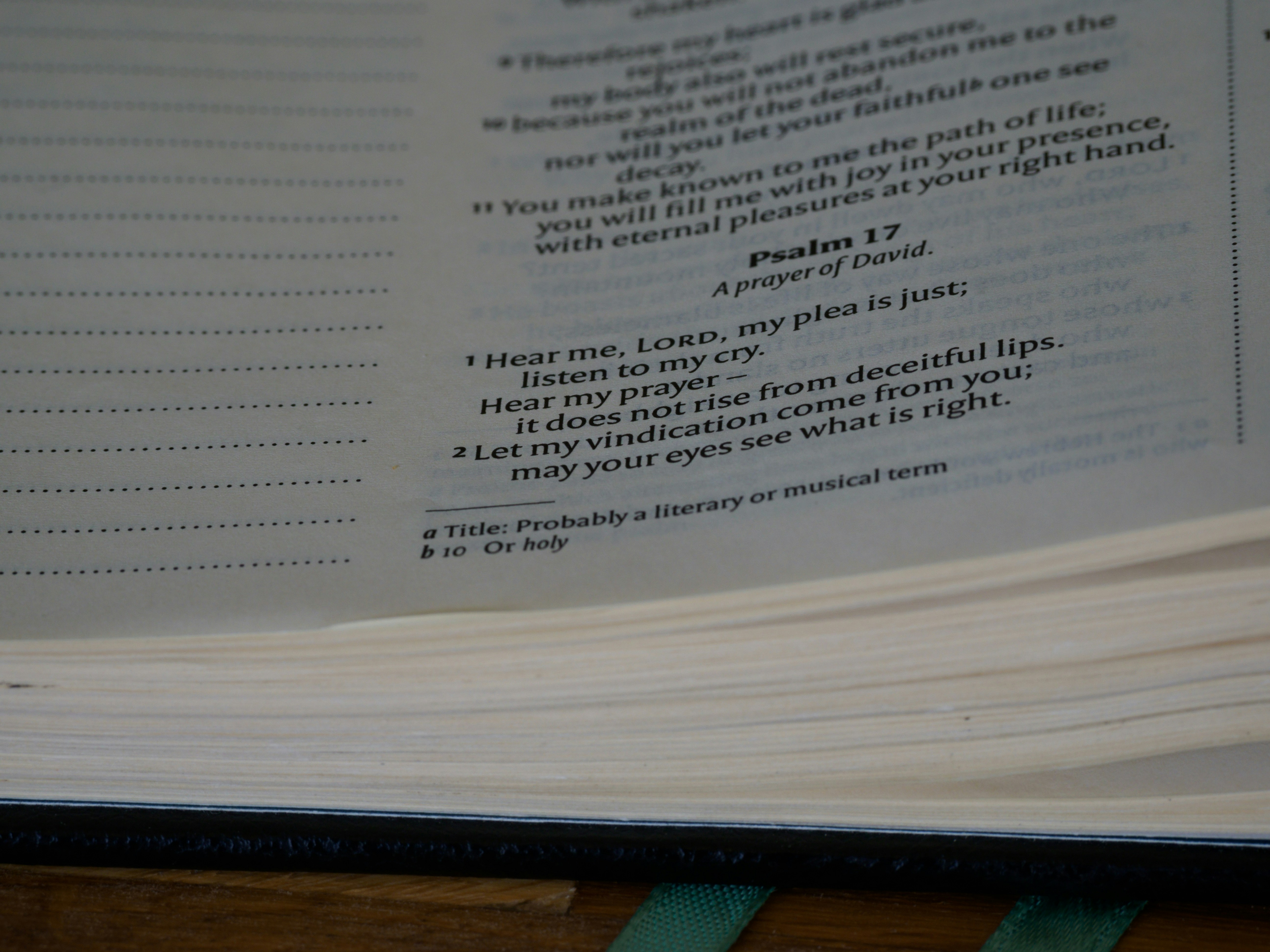 Photo by brett_jordan