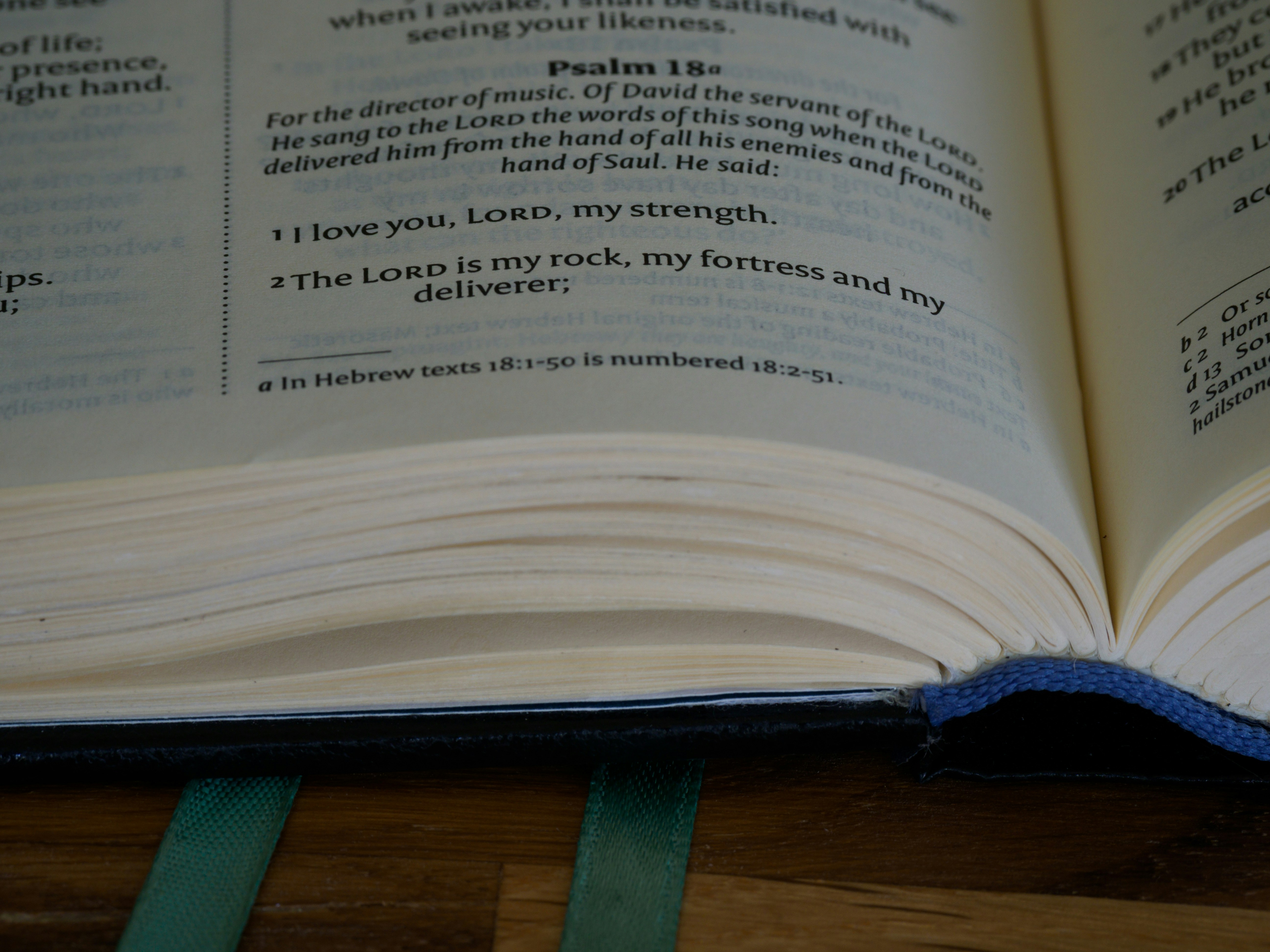 Handschriftliche Notizen in alten Kochbüchern