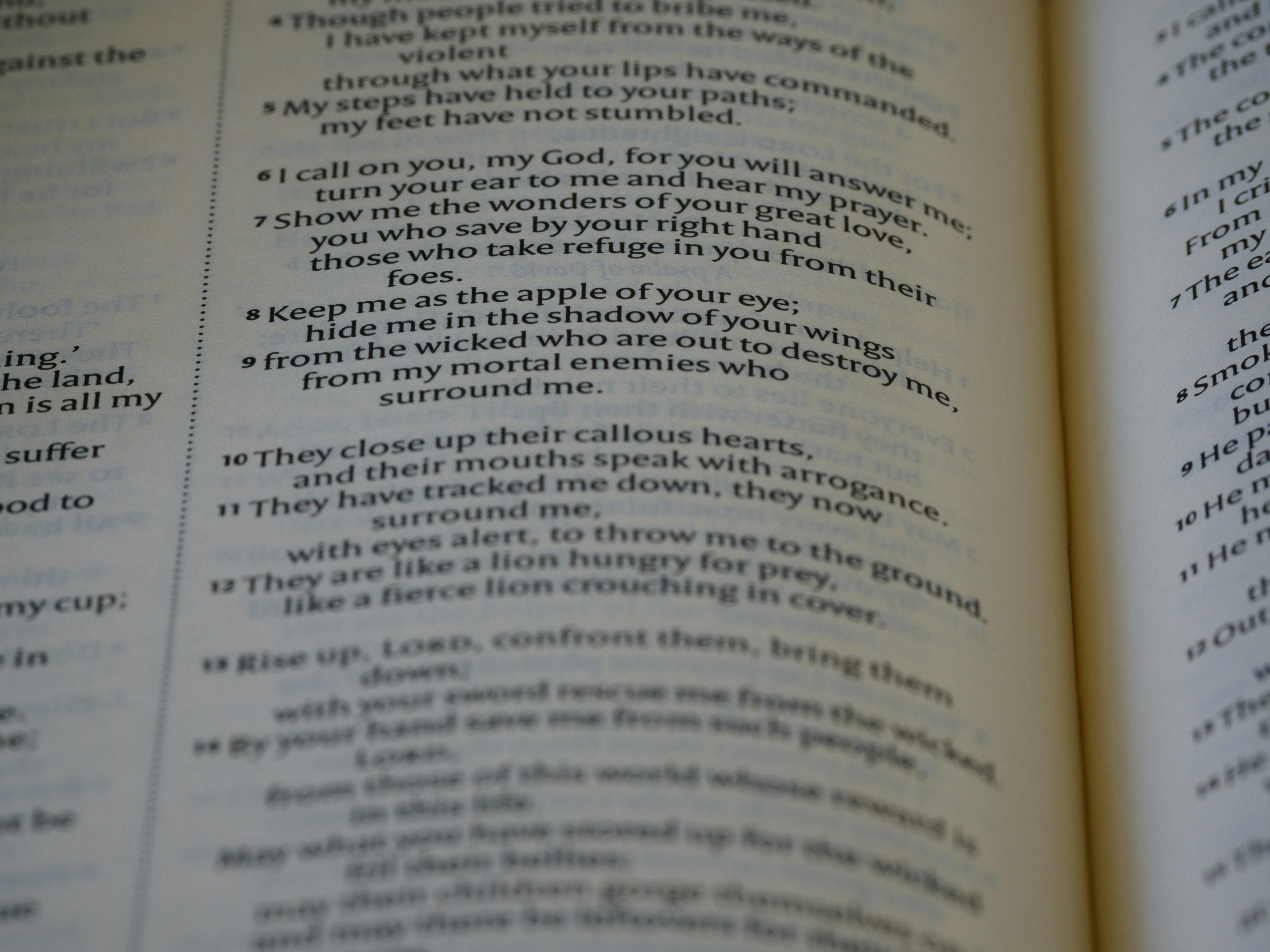 Surah for the Protection of Your Home: A Guide to Spiritual Safeguarding