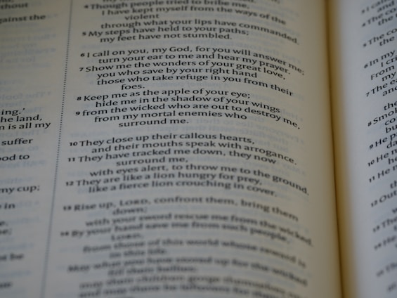 A close-up view of an open book displaying text arranged in verses. The page features a passage with numbered lines and is printed in a serif font. The focus is on a section discussing themes of protection and refuge.