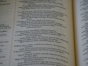 A close-up view of an open book displaying text arranged in verses. The page features a passage with numbered lines and is printed in a serif font. The focus is on a section discussing themes of protection and refuge.
