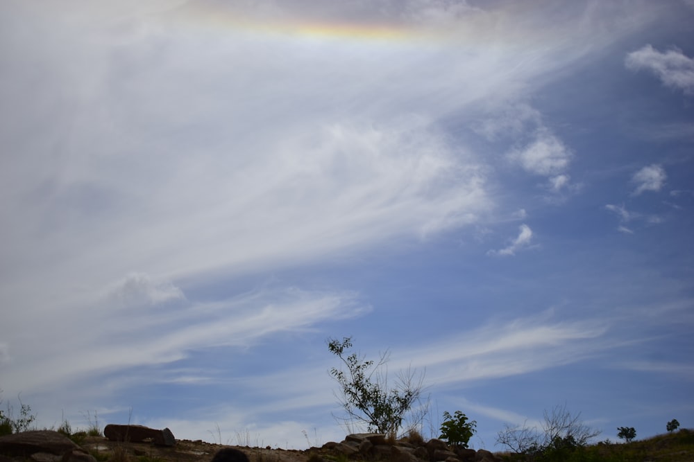 a rainbow in the sky over a hill