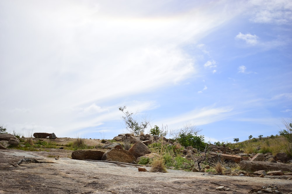 a giraffe standing on top of a rocky hillside