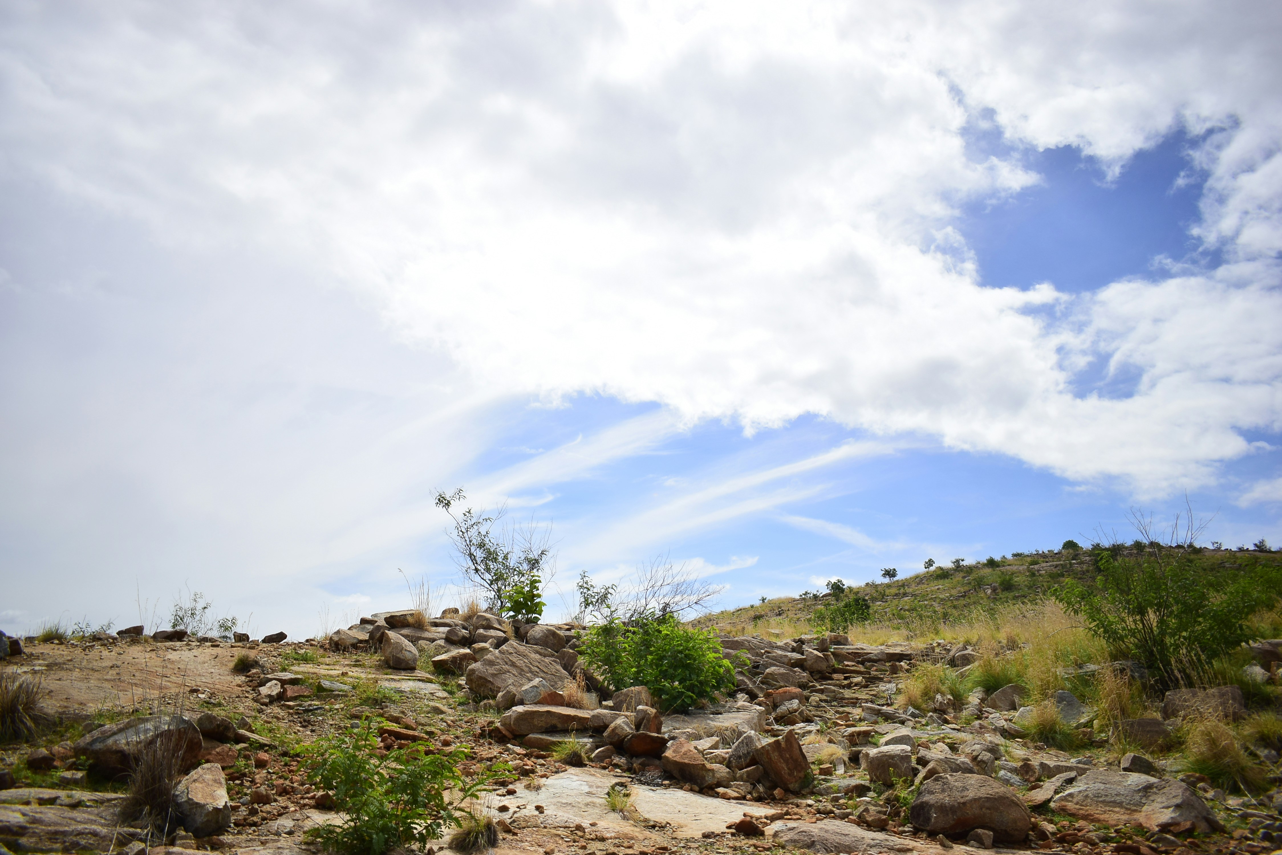 Photo by shutters_flutter