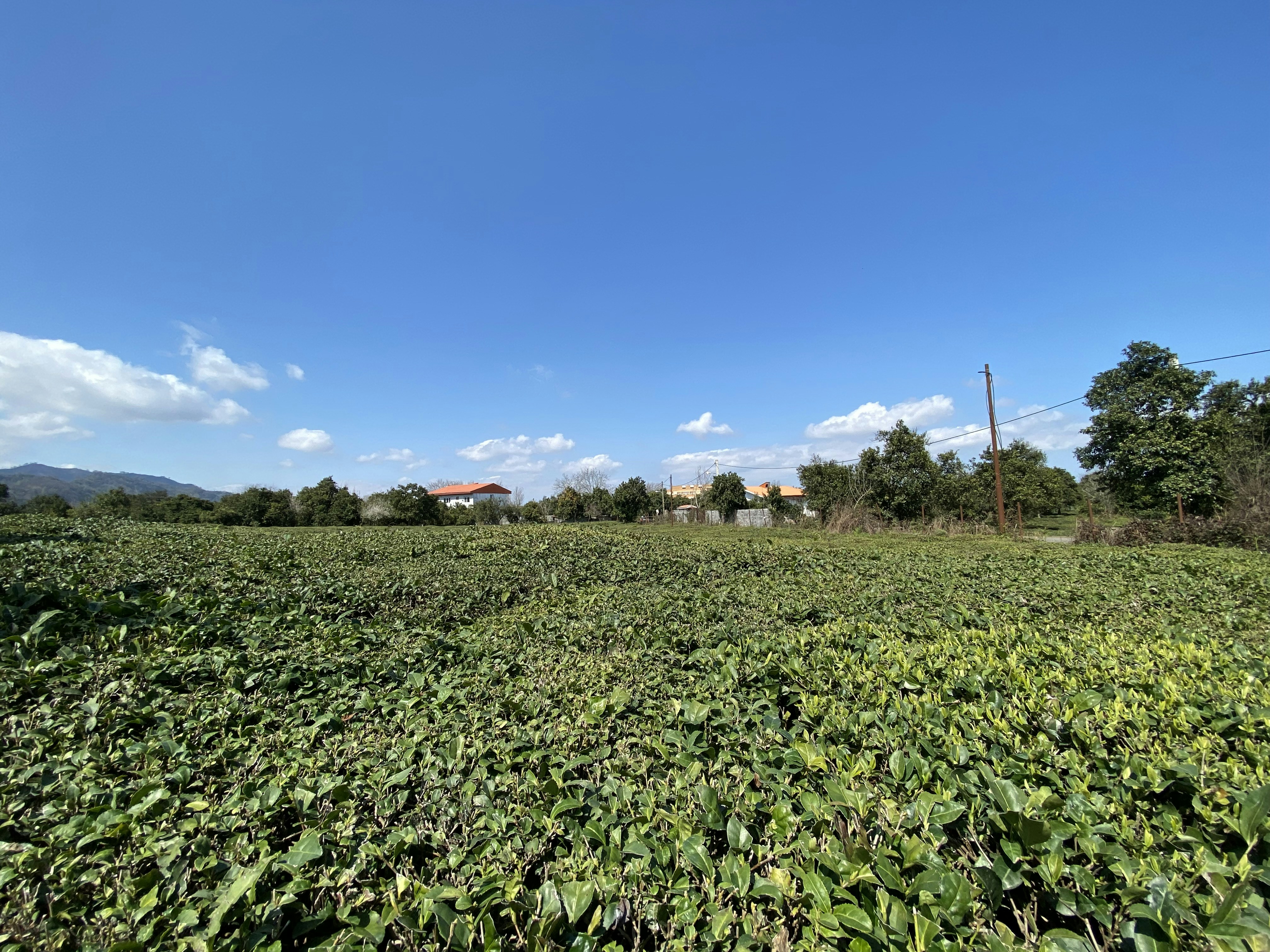 Photo by sasan_azizi