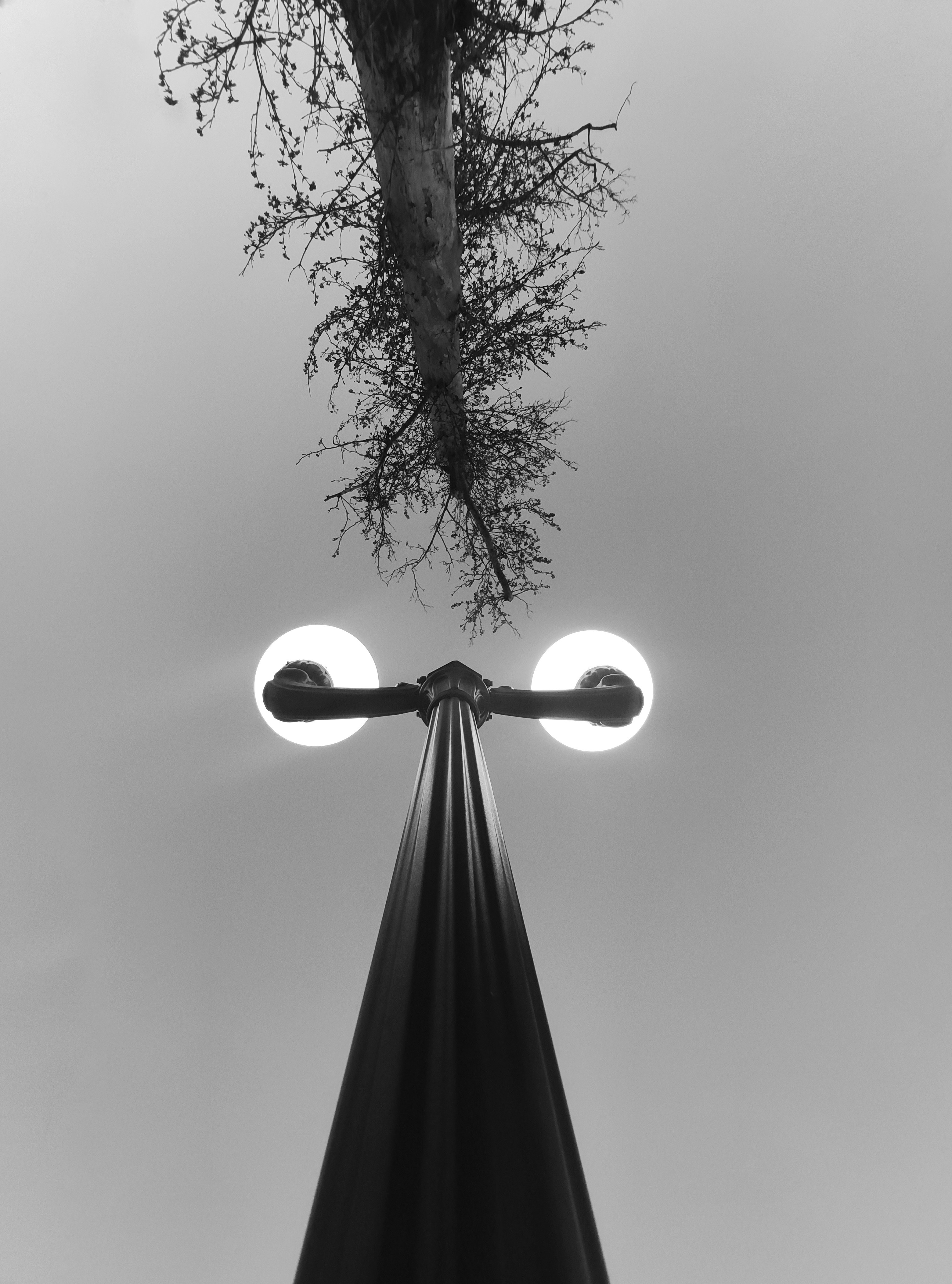 Photo by mahbodakhzami