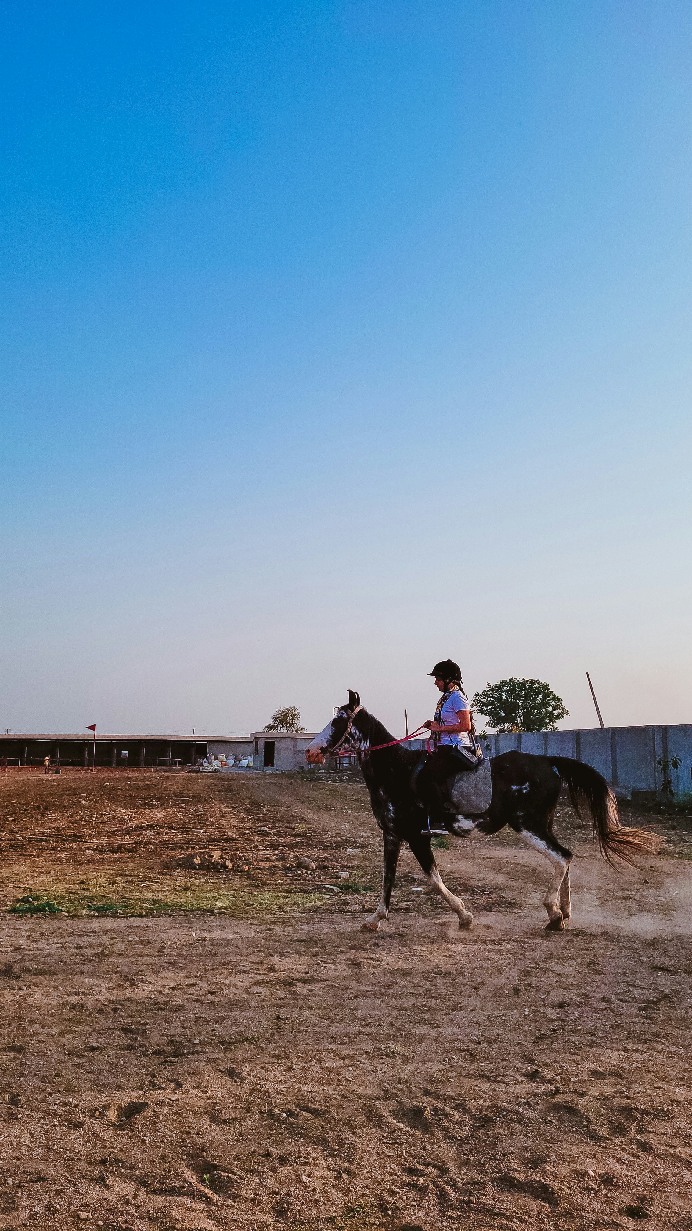 a person riding on the back of a horse