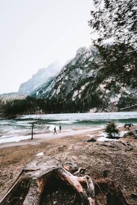 A serene mountain landscape with a large tree stump in the foreground. Two people walk along the sandy shore of a partially frozen lake. The towering mountains are covered in patches of snow, with a hint of sunlight peeking over one peak. Sparse trees and rocky terrain add to the natural scenery.