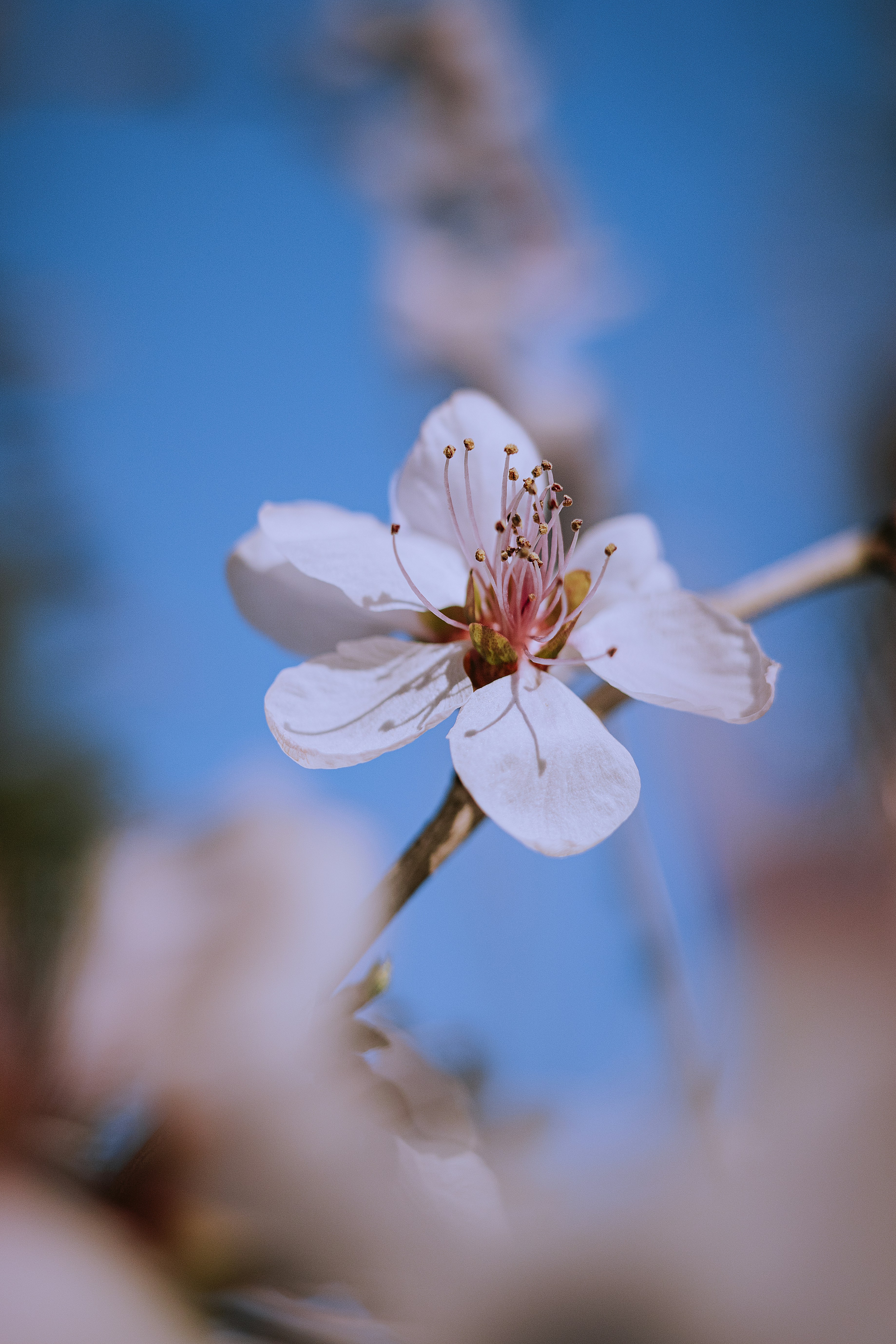 Photo by dynamicwang