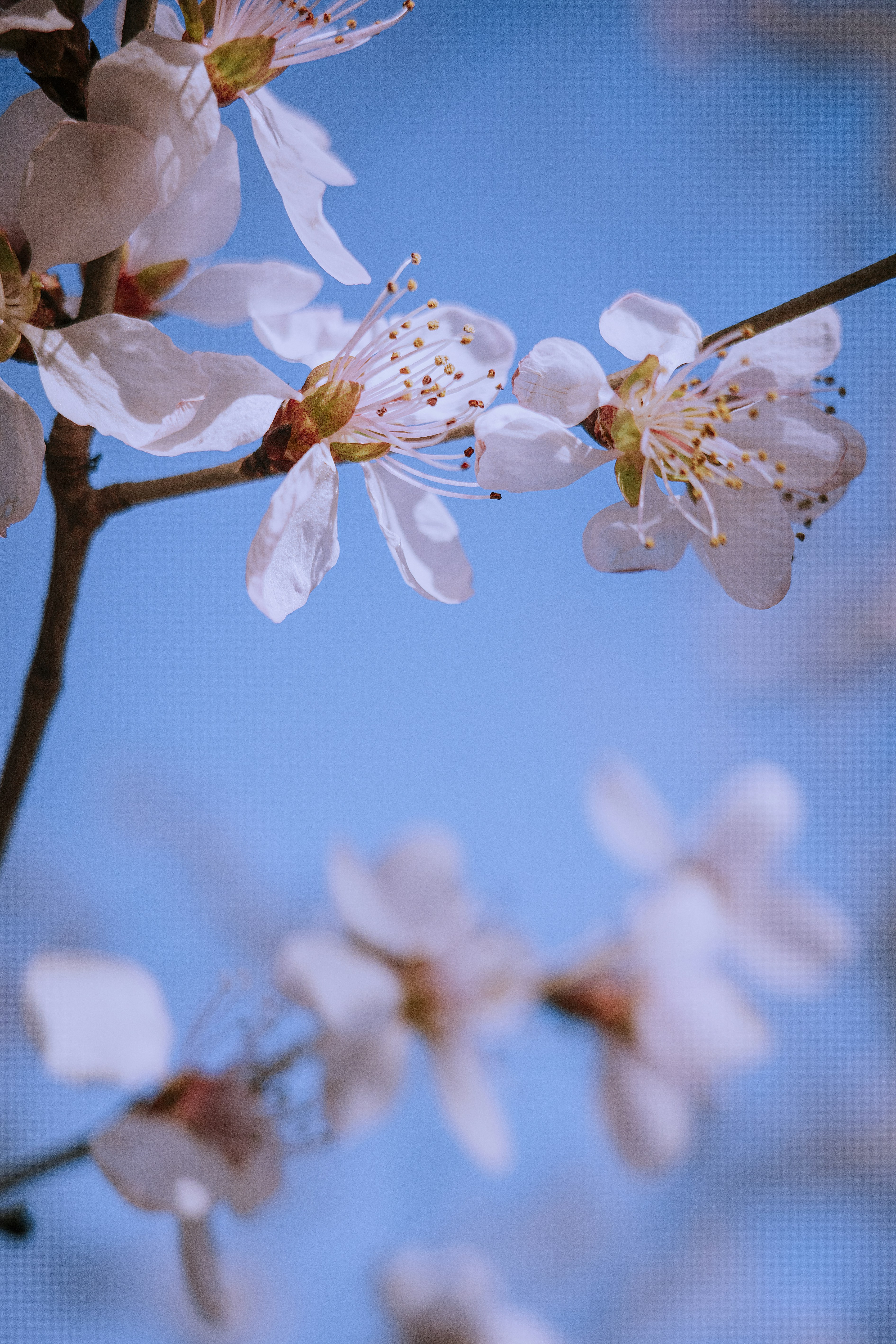 Photo by dynamicwang