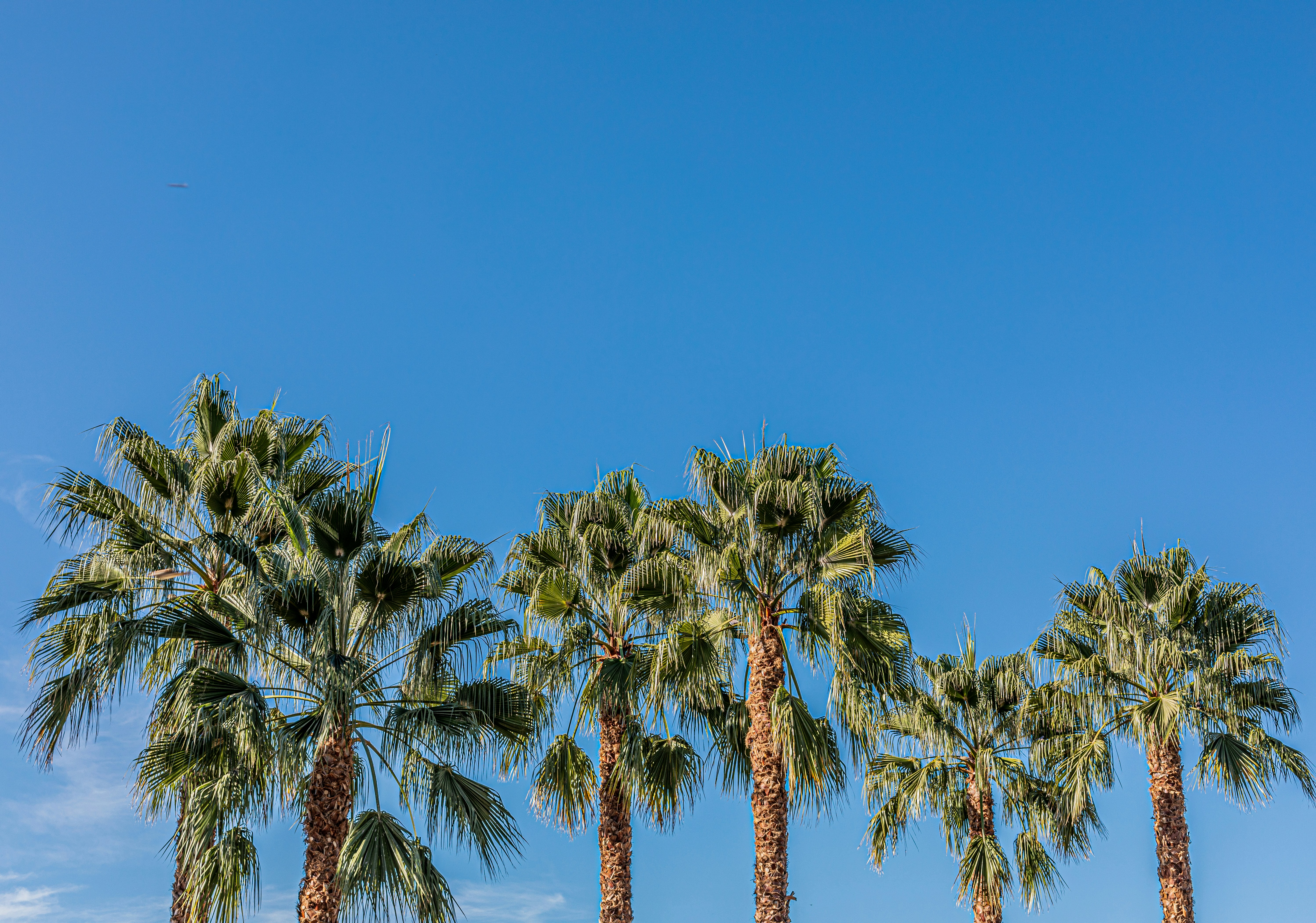 Photo by pilar_camacho_