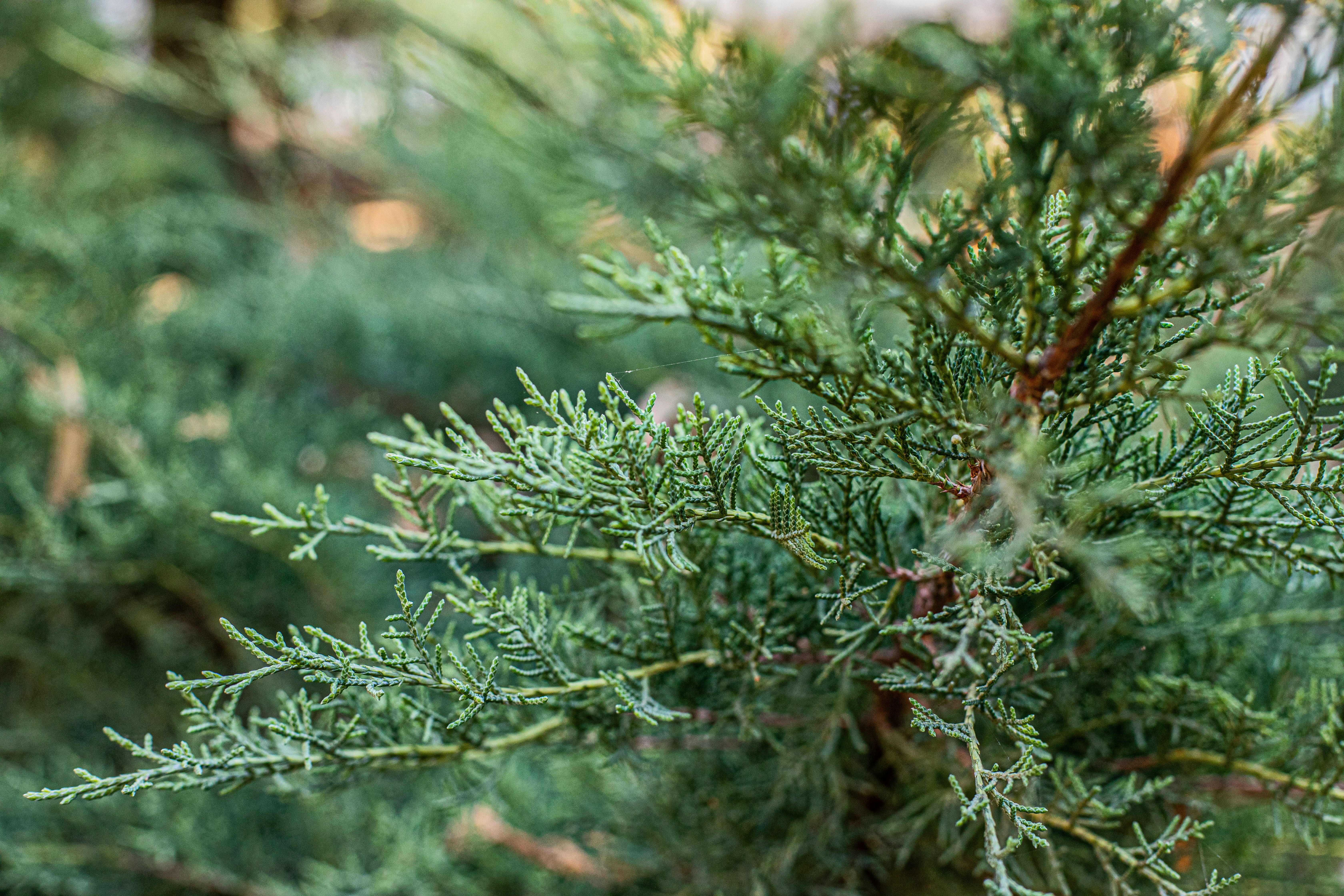 Photo by pilar_camacho_