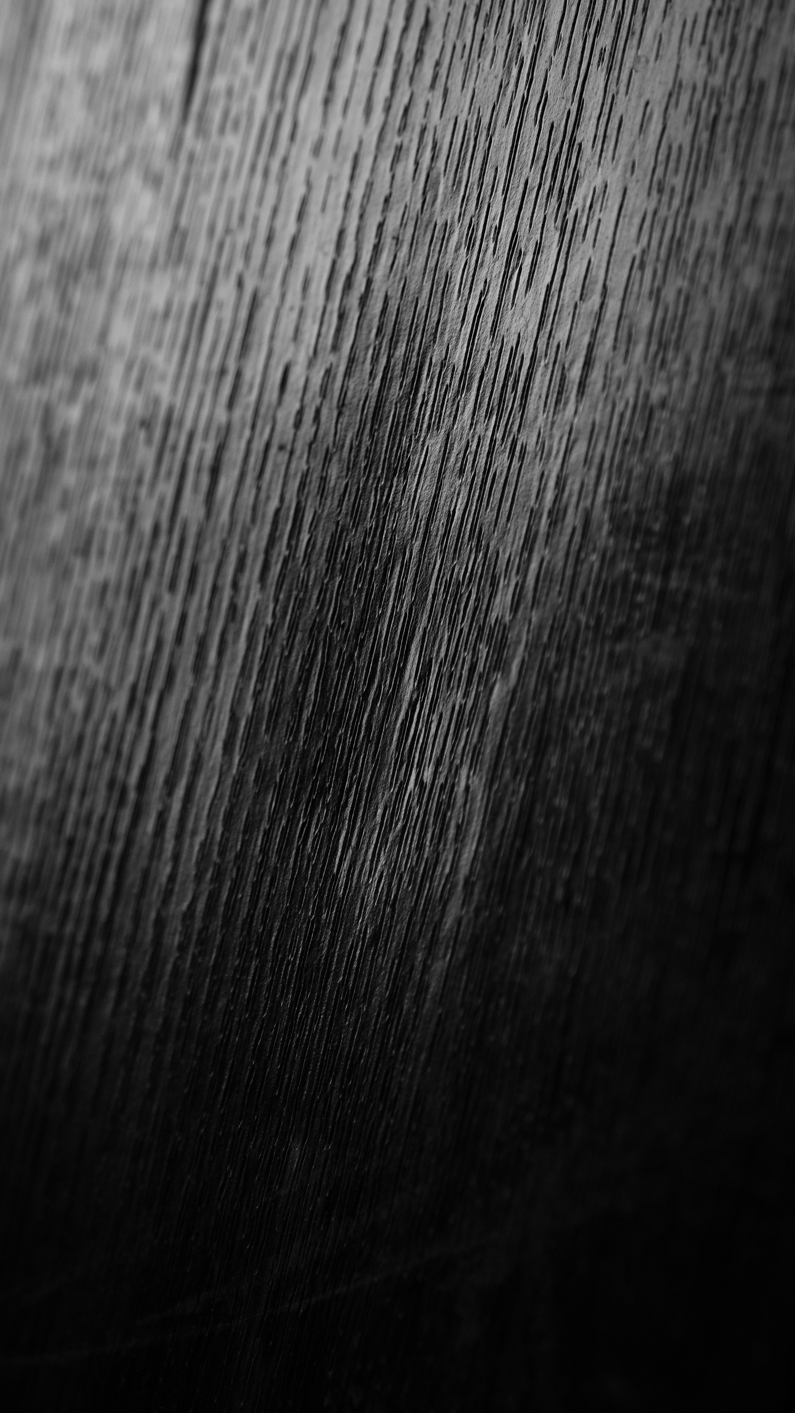 Photo by abbythemaddy