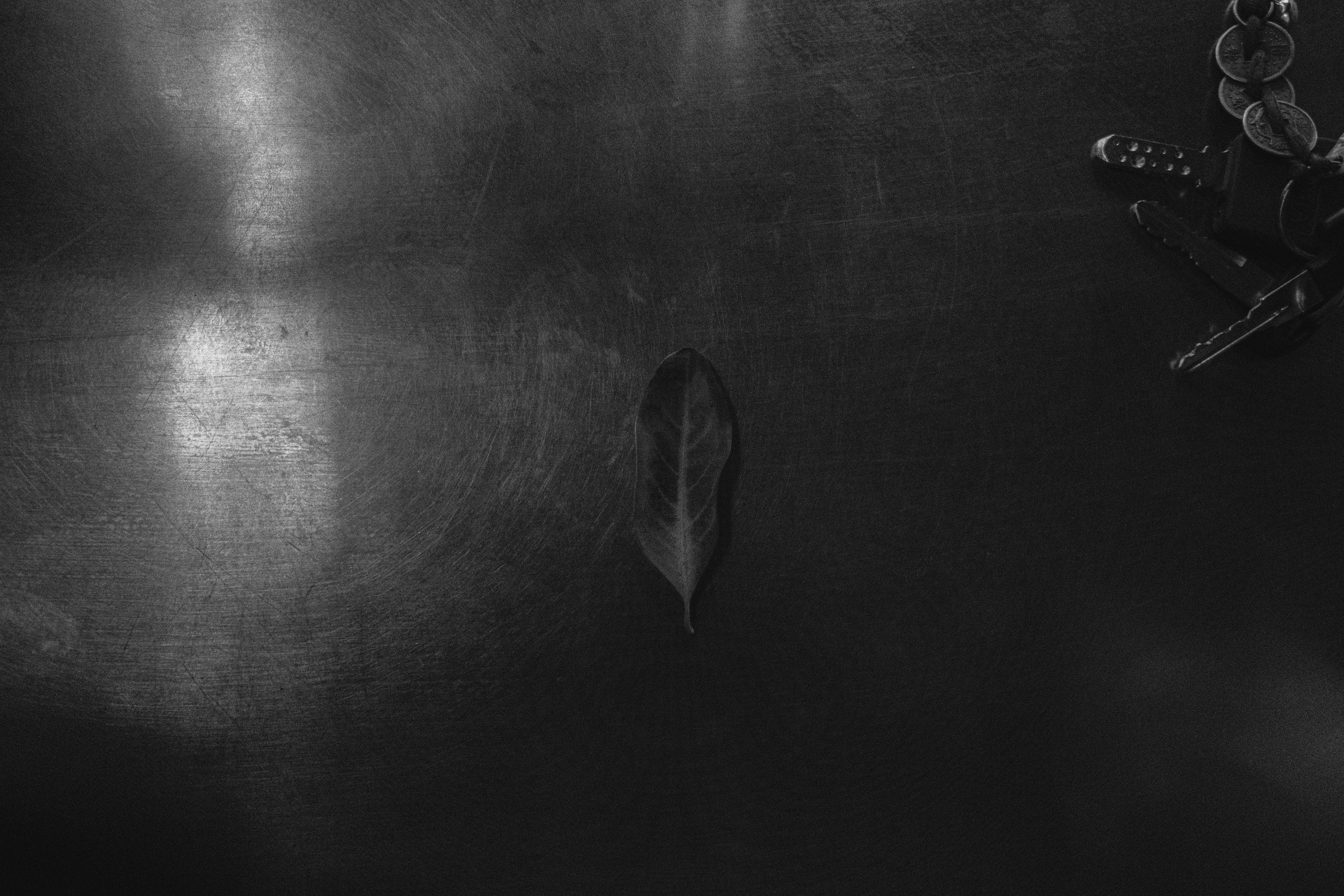 Photo by abbythemaddy