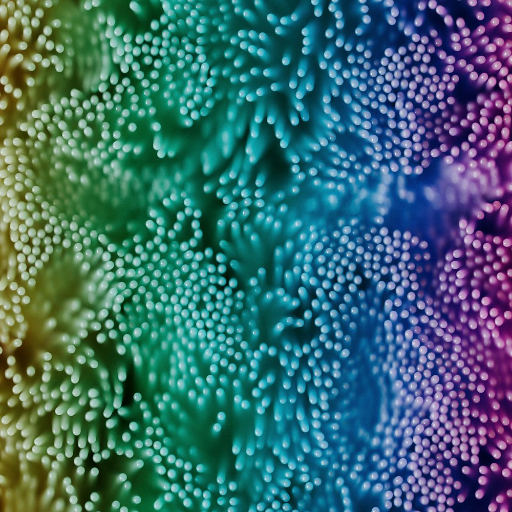 un primo piano di un fiore colorato con un sacco di bolle