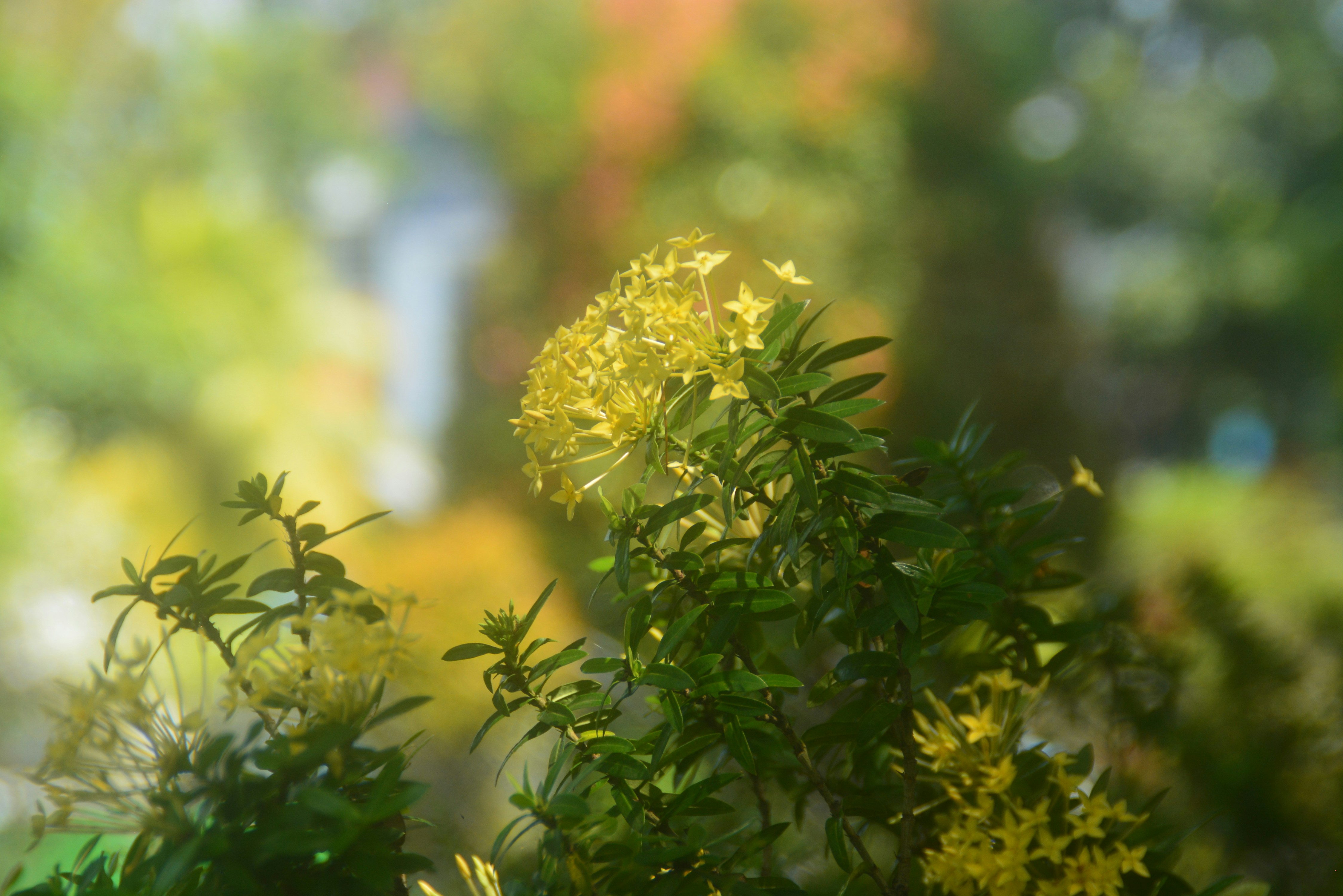 Photo by sebagiancerita