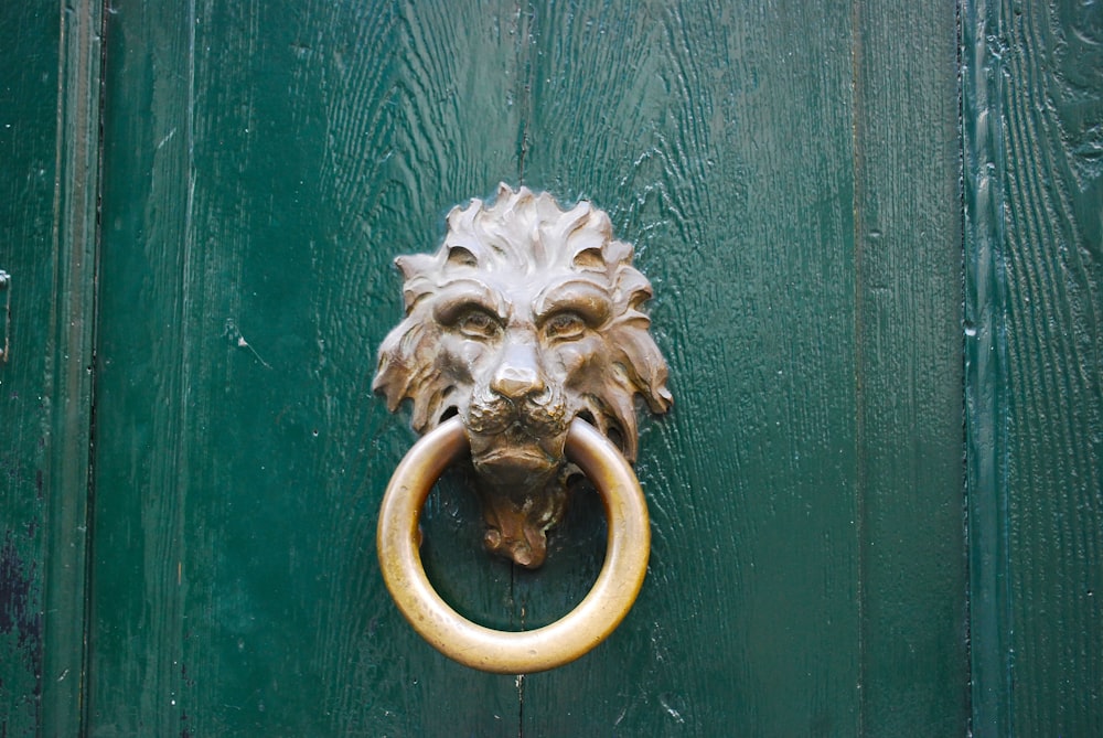 a door knockle with a lion's head on it