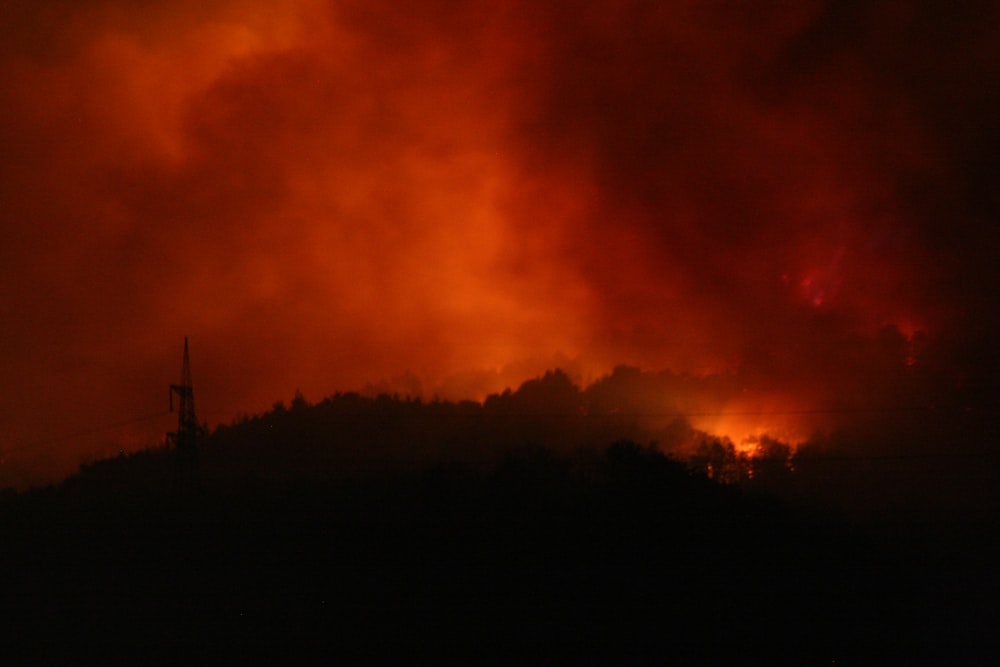 a fire blazing in the sky over a forest