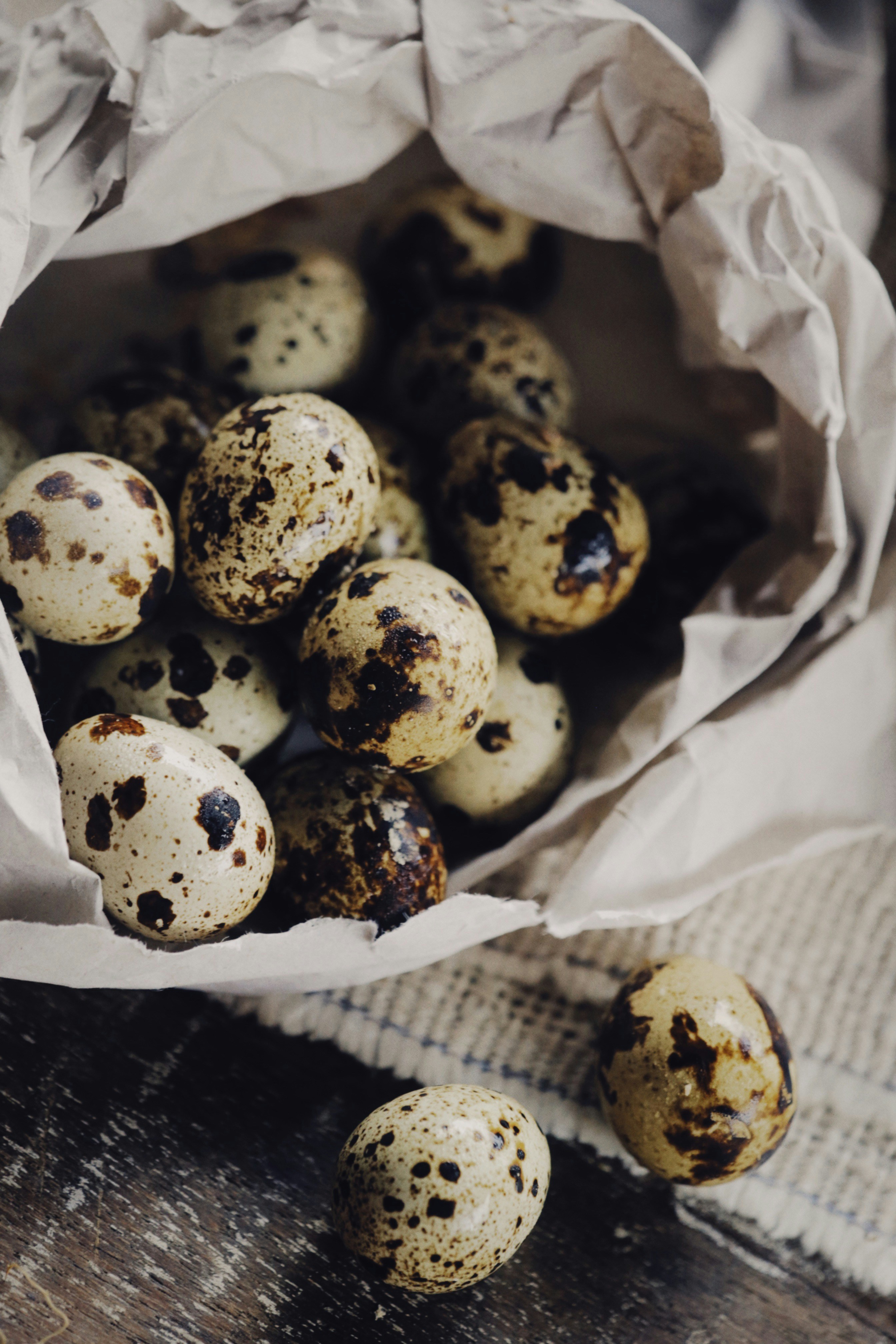 Fresh Quail Eggs