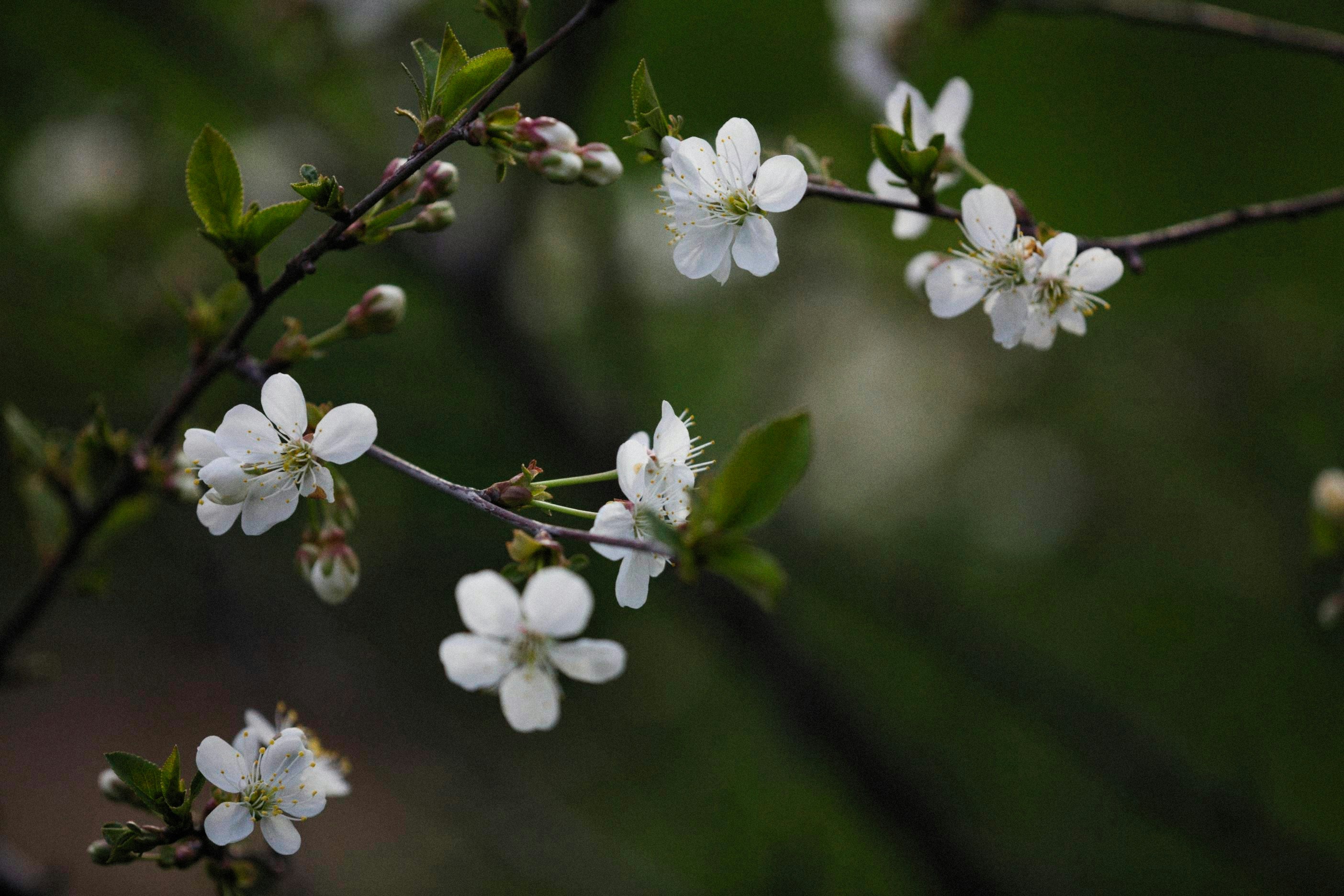 Photo by alexeydemidov