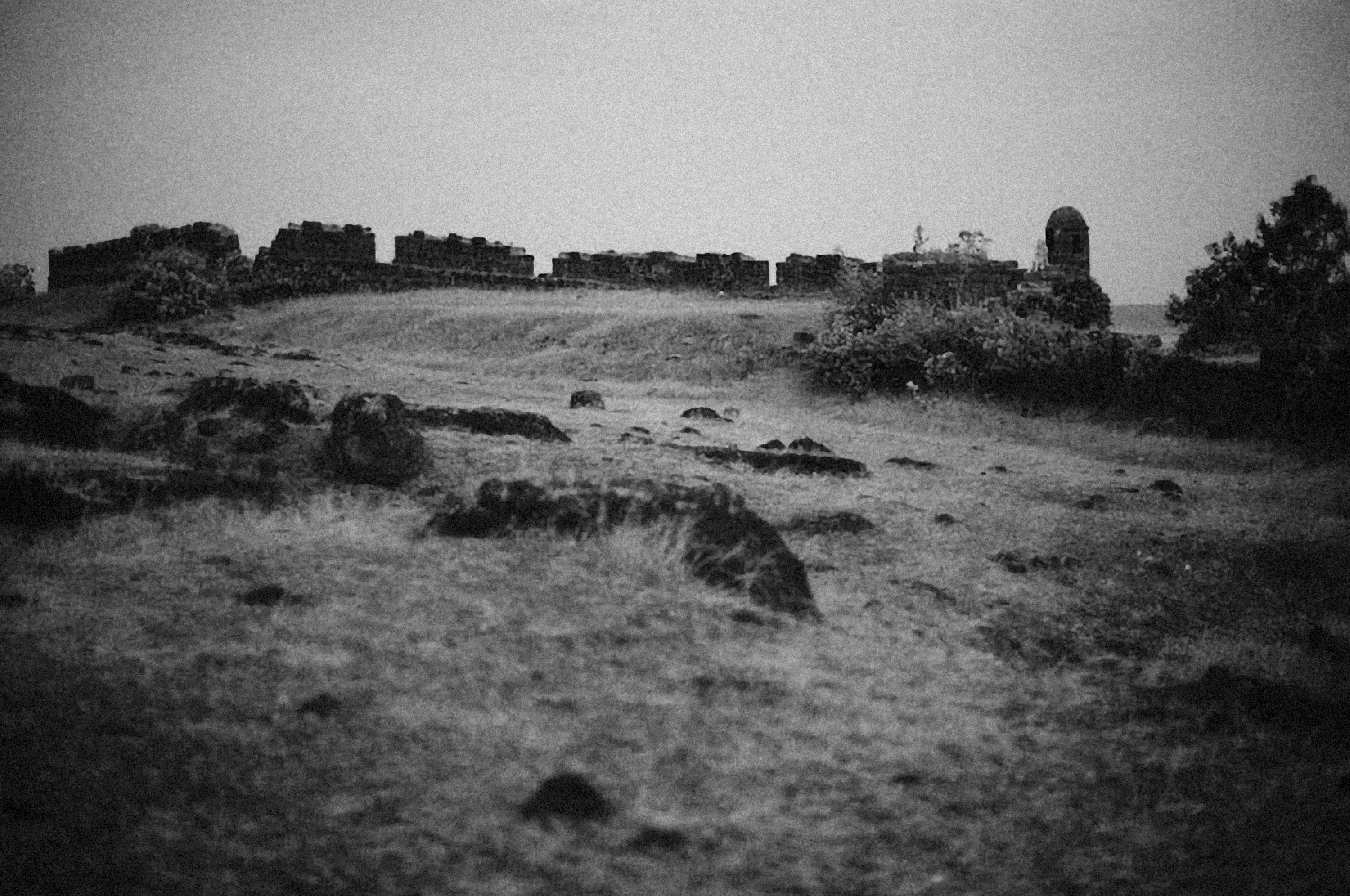 Photo by alexeydemidov