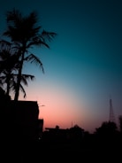 Palm Beach skyline at sunset with digital network overlay.